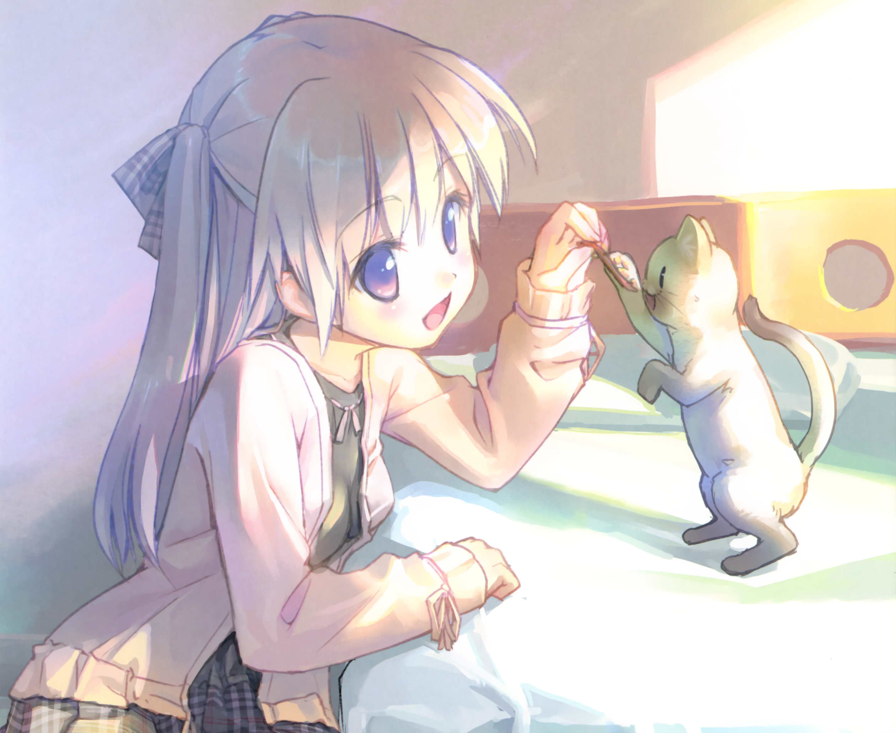 Girl playing with a cat HD Wallpaper