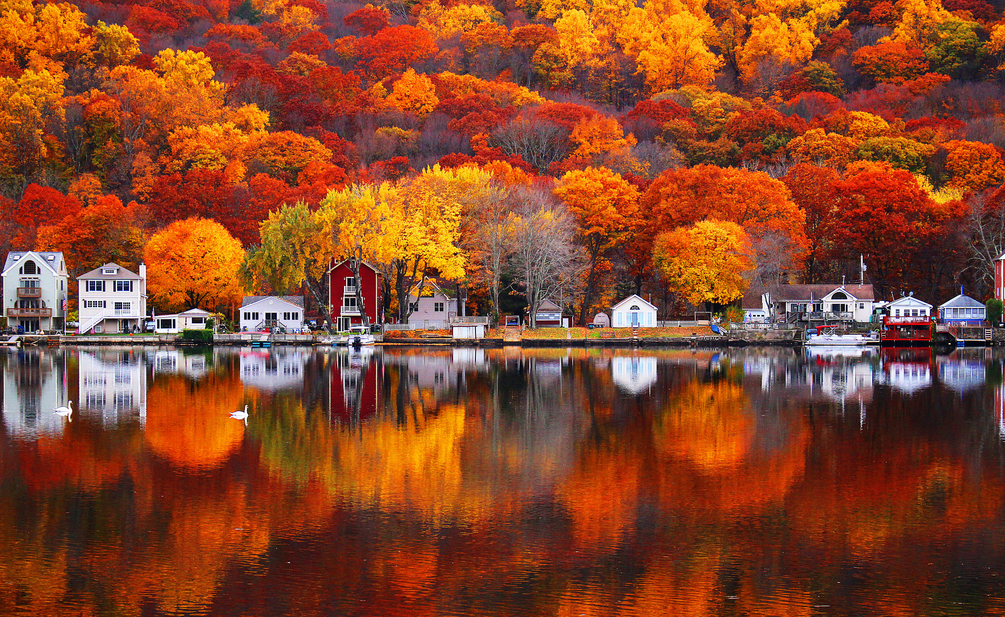 Houses on a lake with fall foliage reflection HD Wallpaper