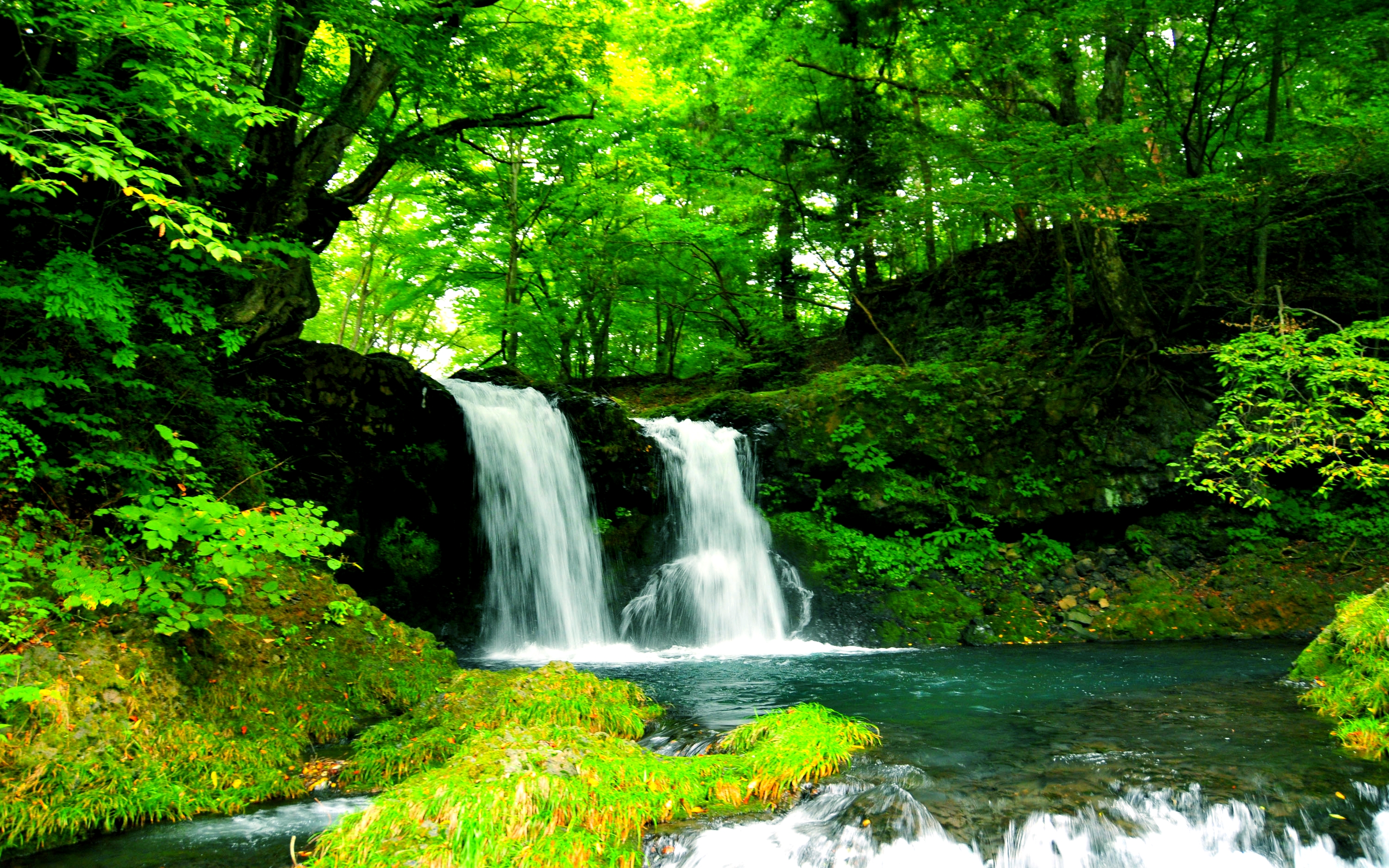 Waterfall in a lush green forest HD Wallpaper