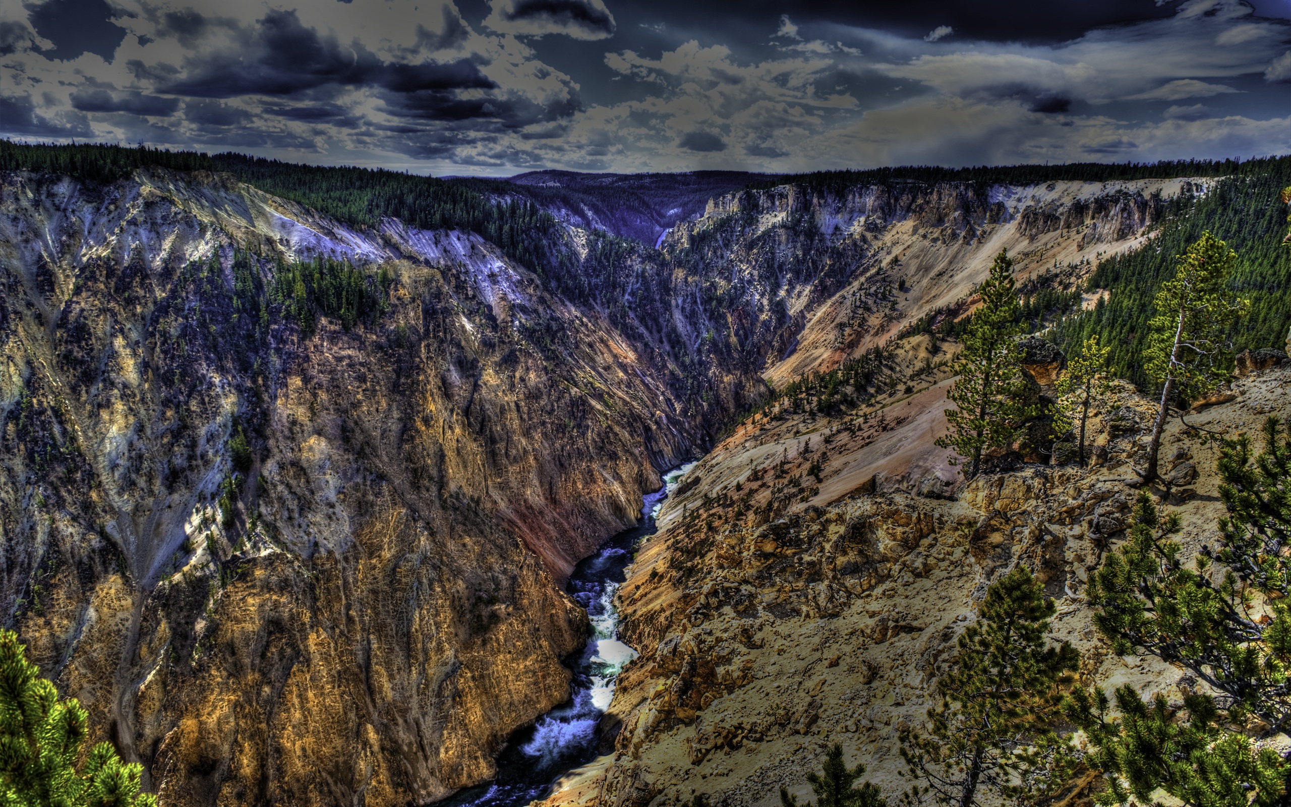 Yellowstone Grand Canyon with River and Forest HD Wallpaper