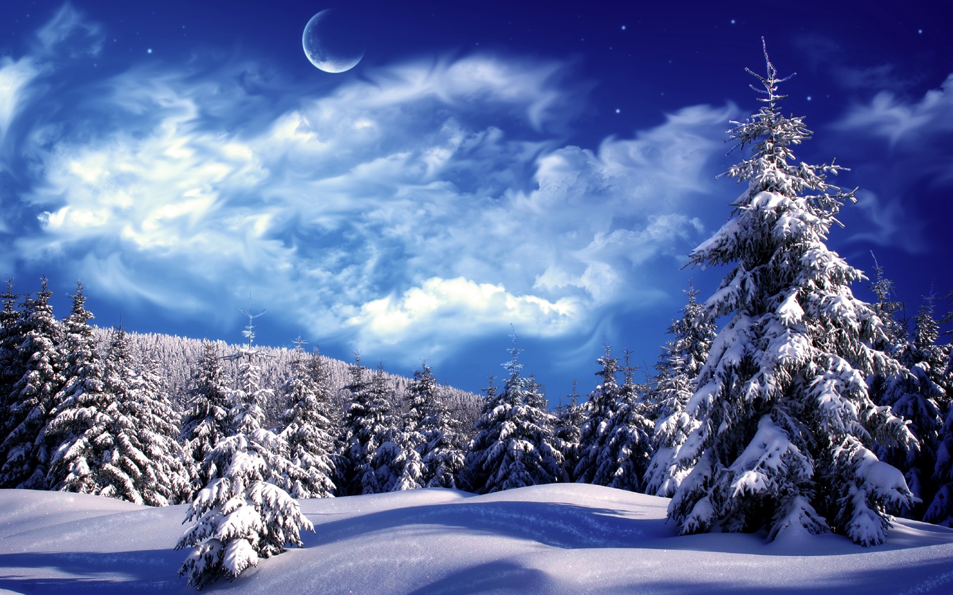 Snowy forest under a crescent moon HD Wallpaper