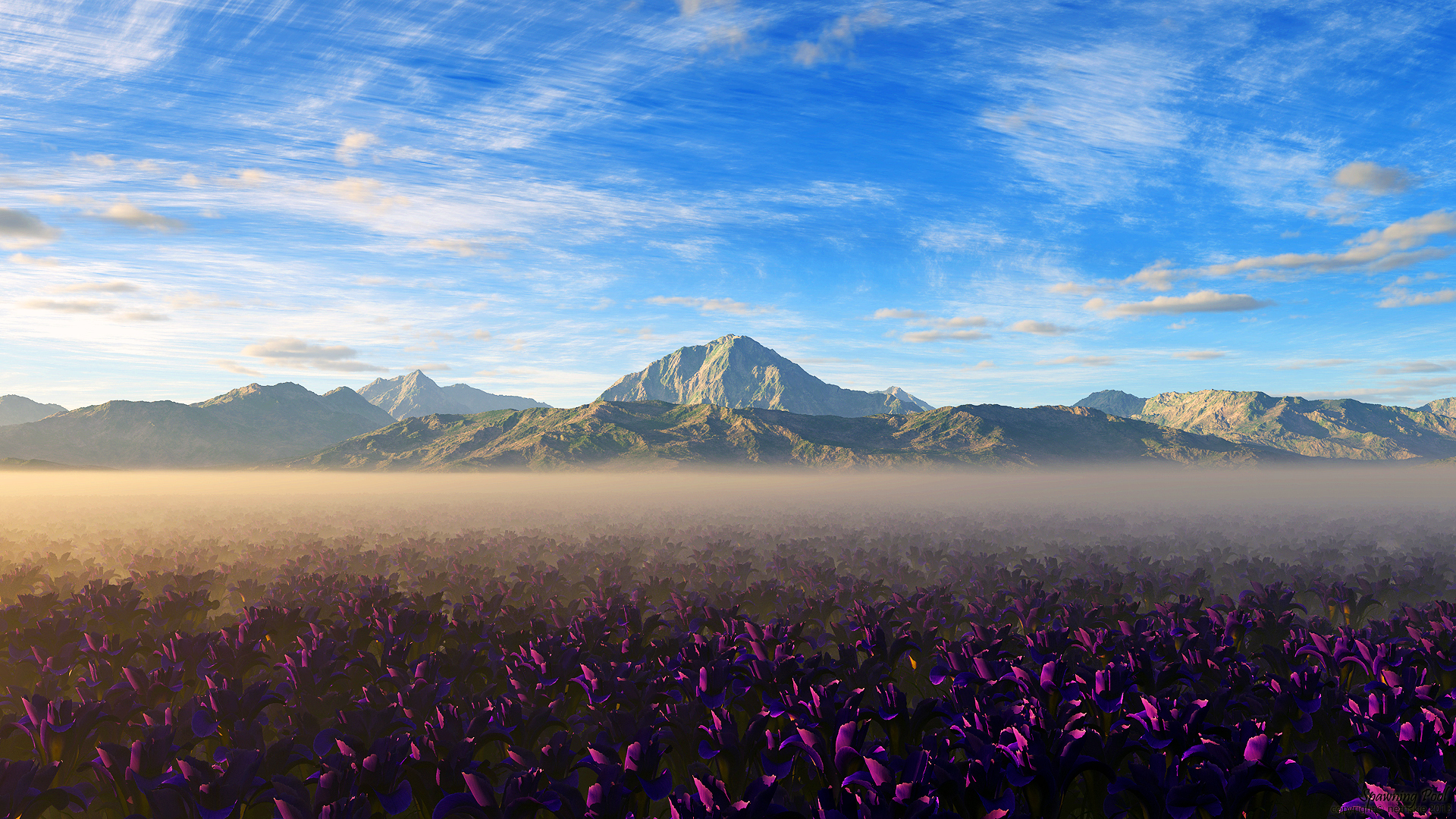 Purple flowers in a field with mountains and fog HD Wallpaper