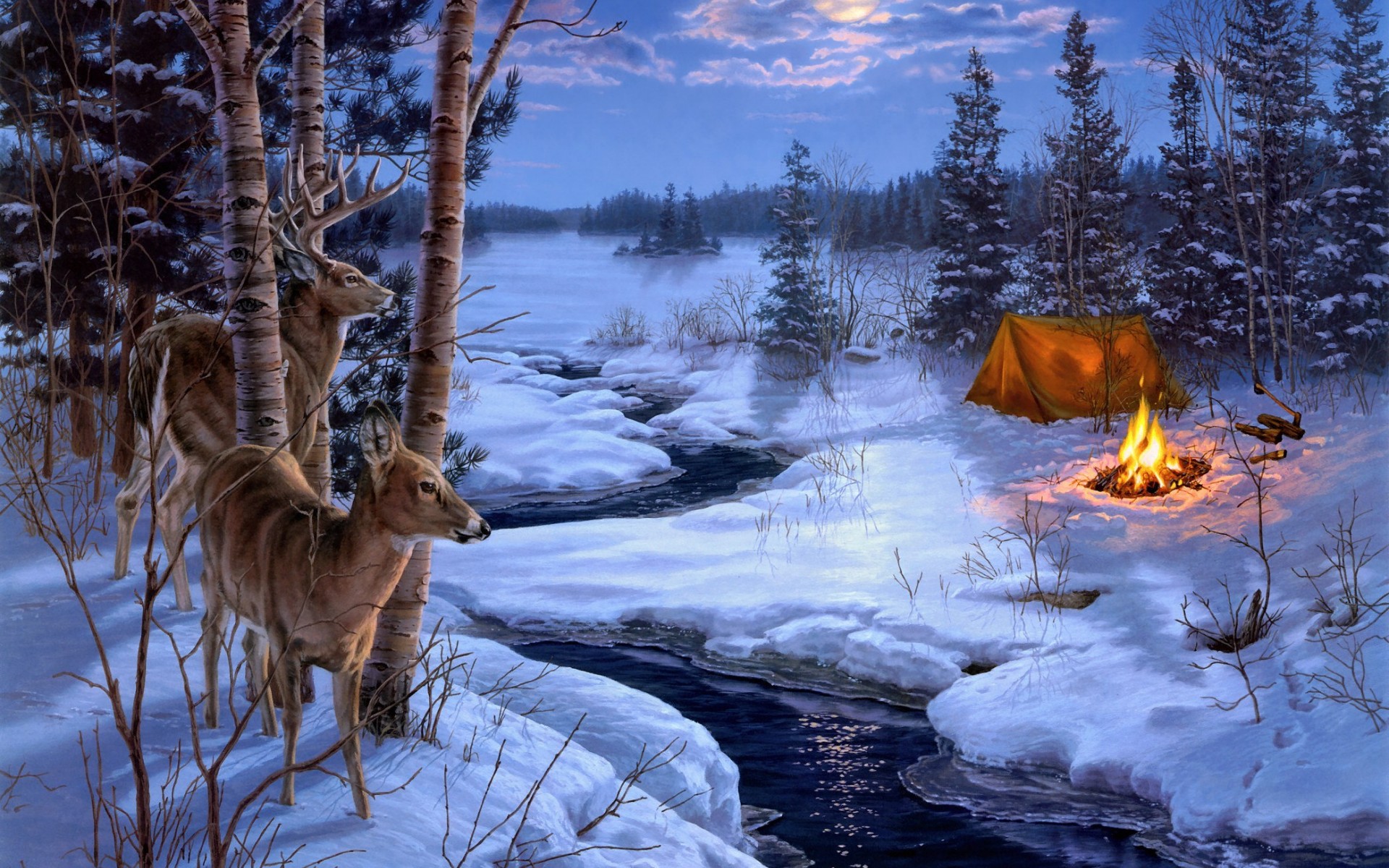 Deer by a frozen stream with a campsite HD Wallpaper