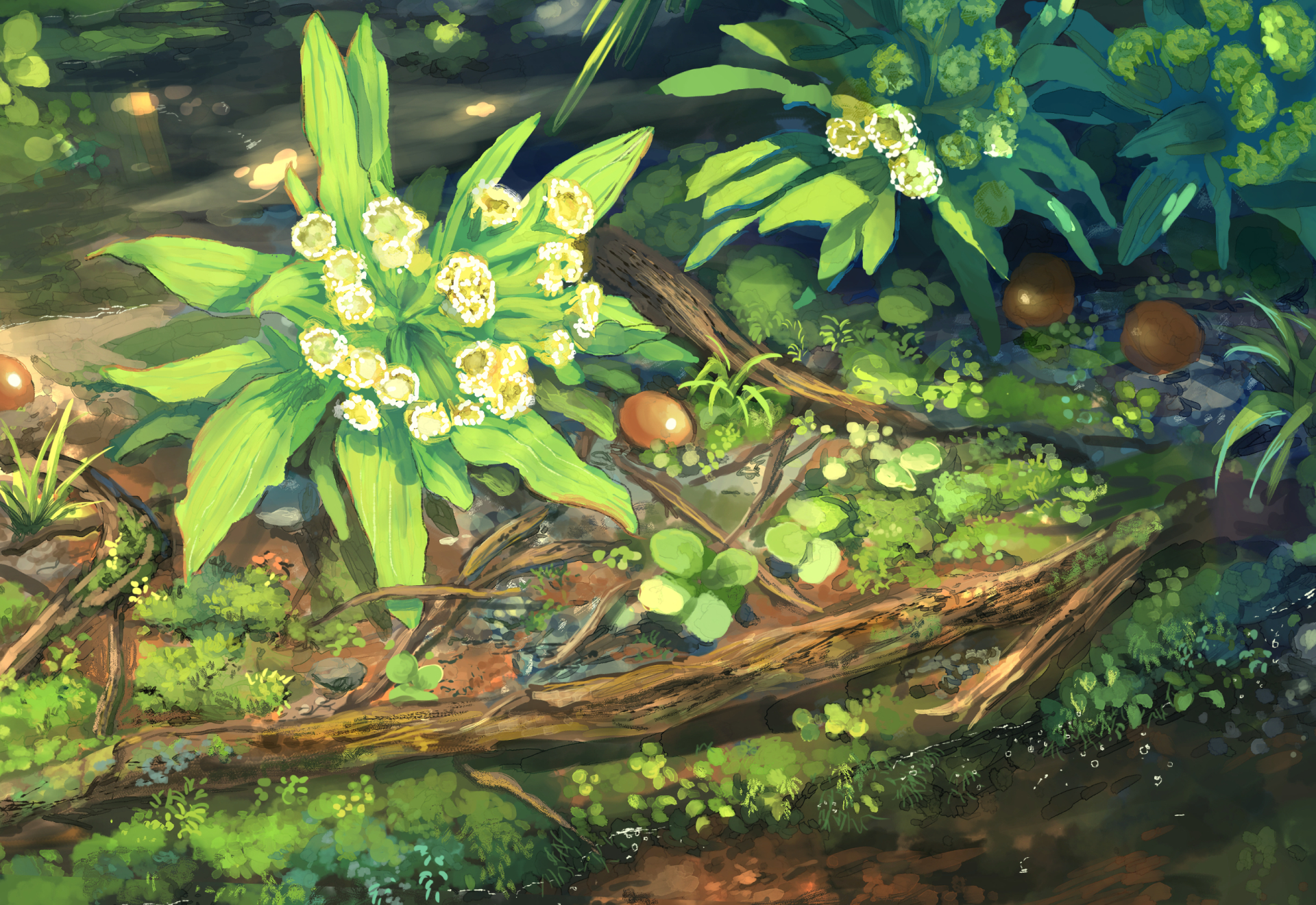 Forest floor with plants and fallen logs HD Wallpaper