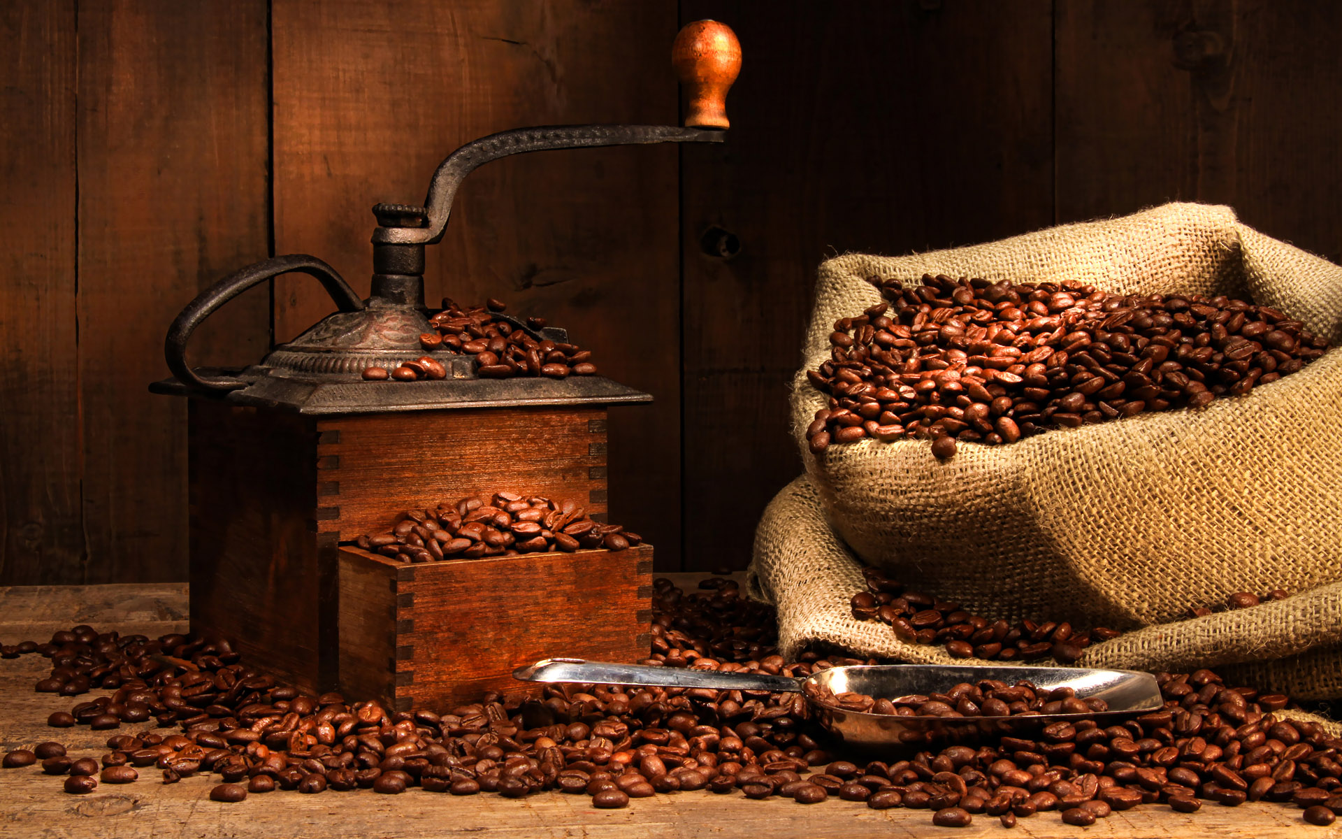Coffee beans with a vintage grinder and burlap sack HD Wallpaper