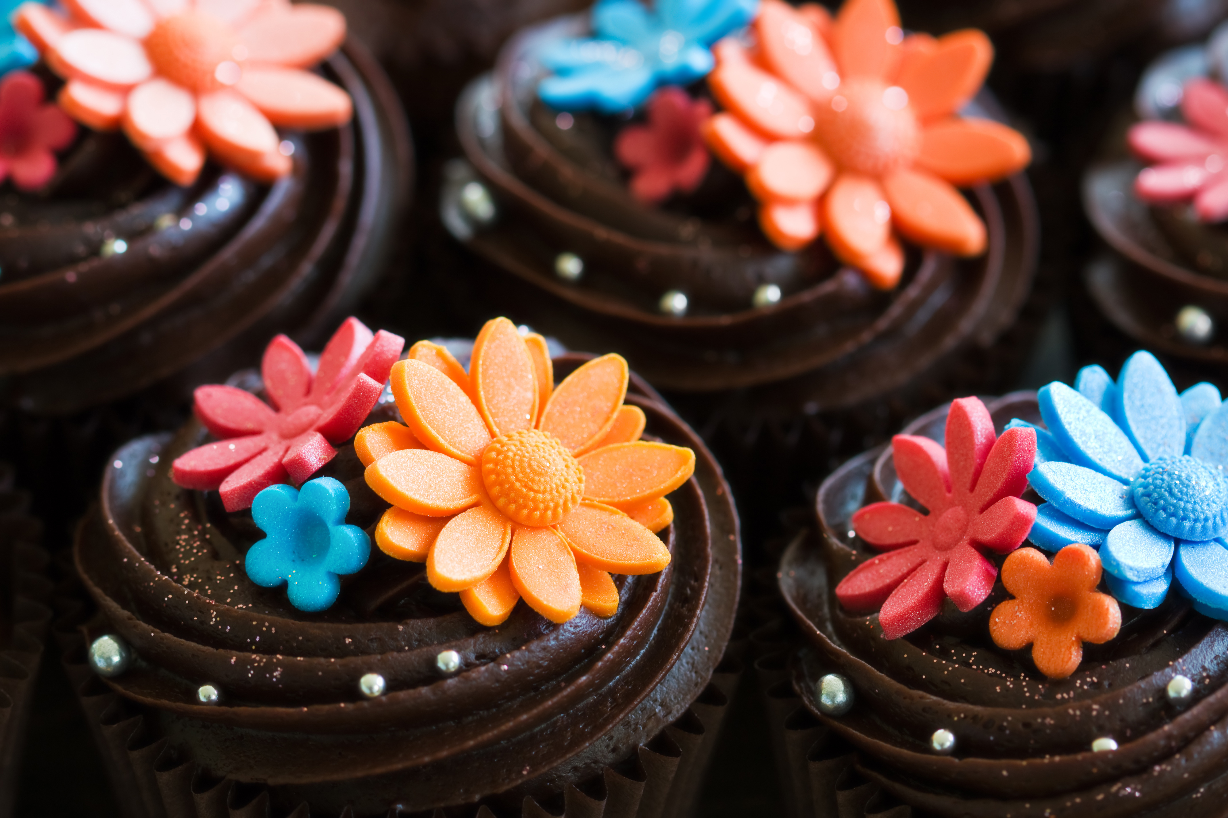 Chocolate cupcakes with colorful flower decorations HD Wallpaper