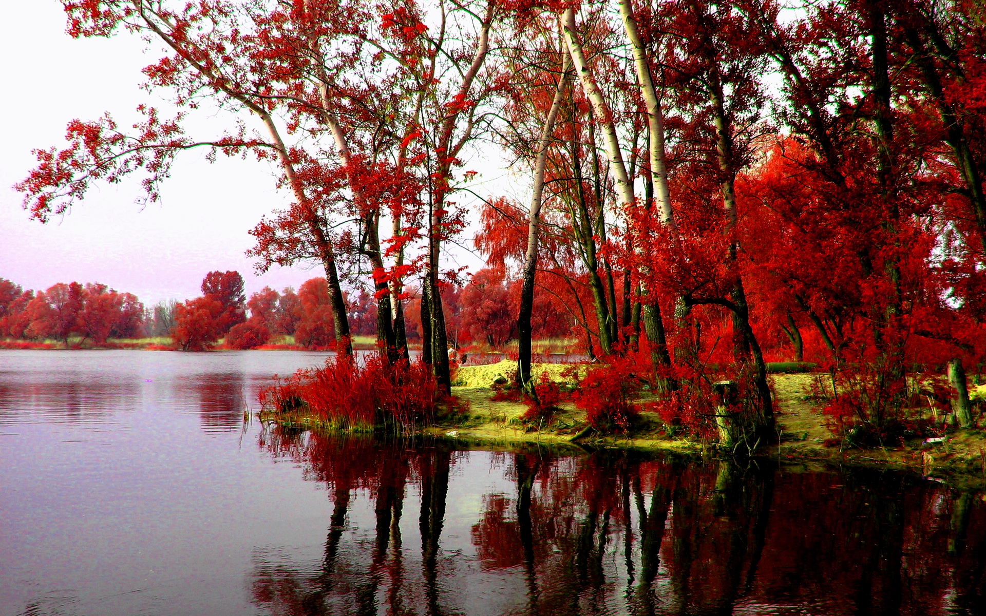 Lake with red trees and reflections HD Wallpaper