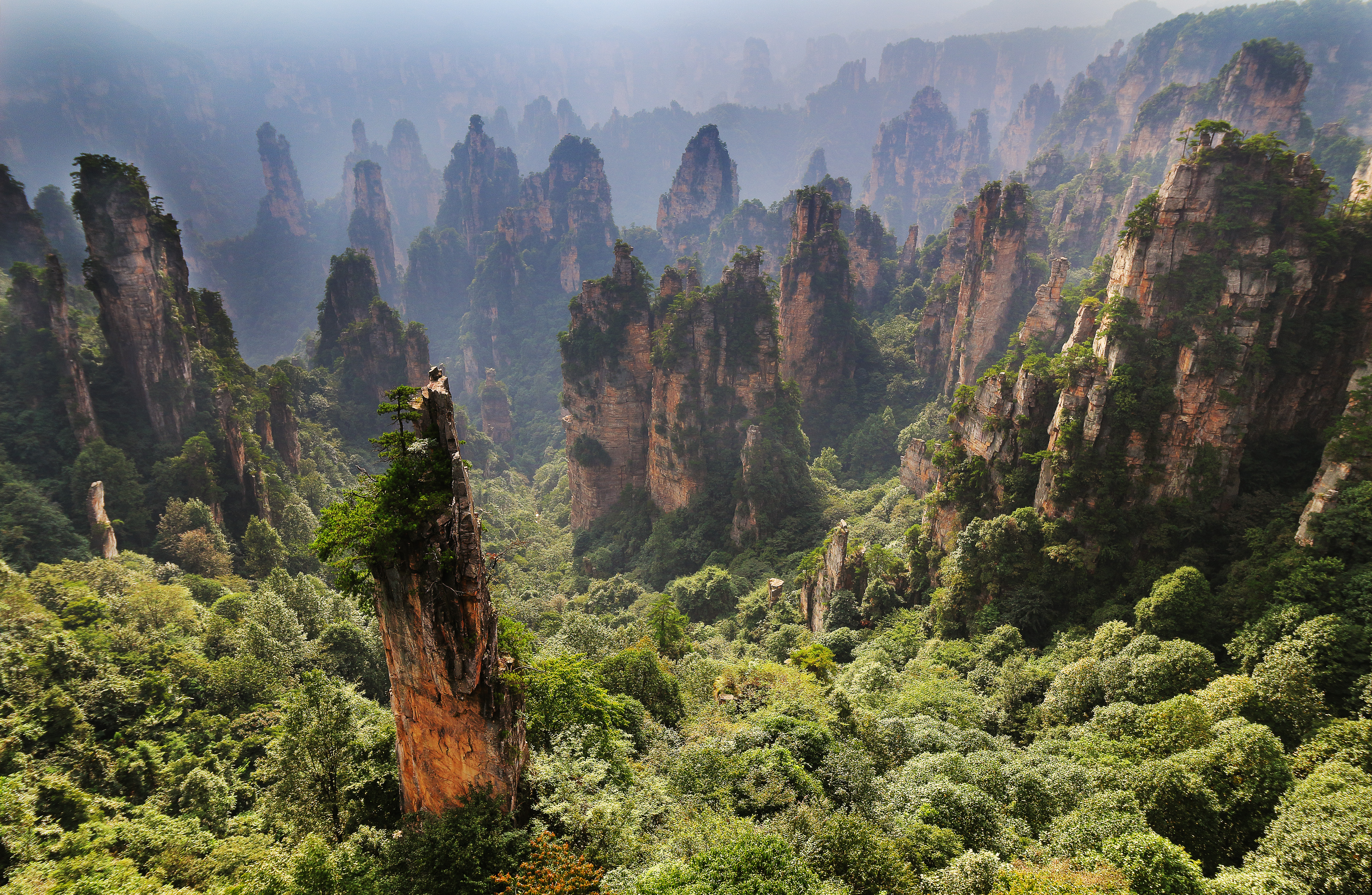 Zhangjiajie National Forest Park, China HD Wallpaper