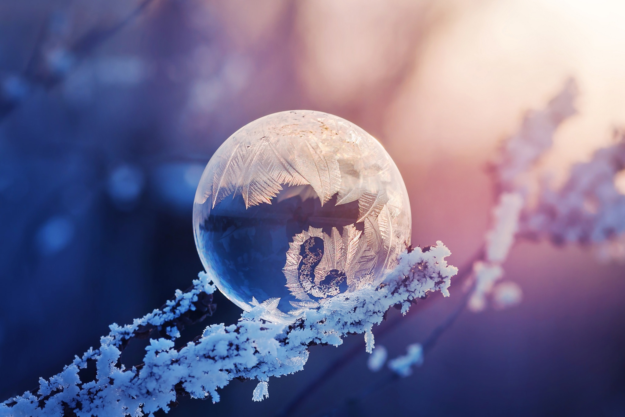 Frozen bubble on a frosty branch in winter HD Wallpaper