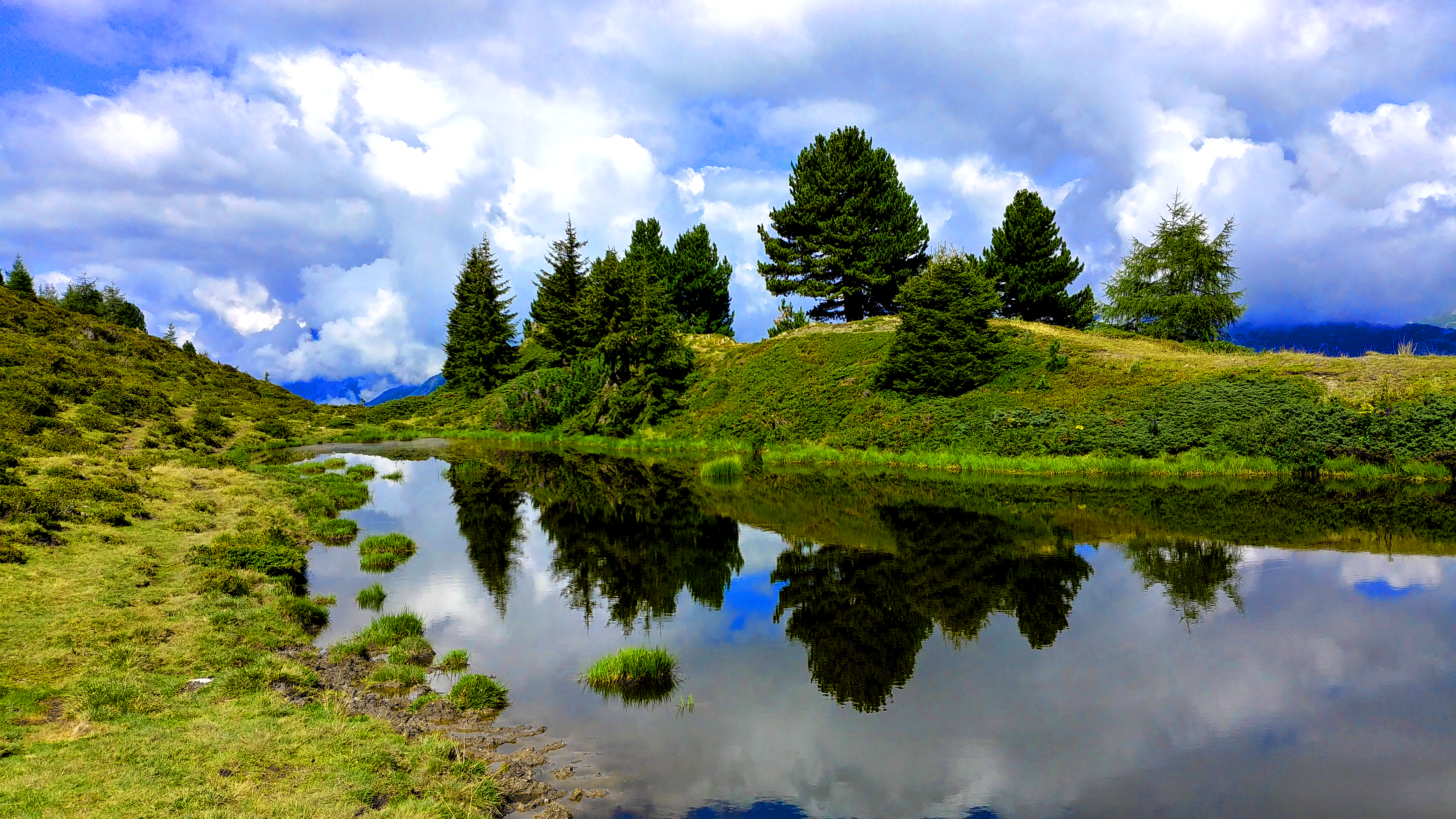 Lake reflection with trees and clouds HD Wallpaper