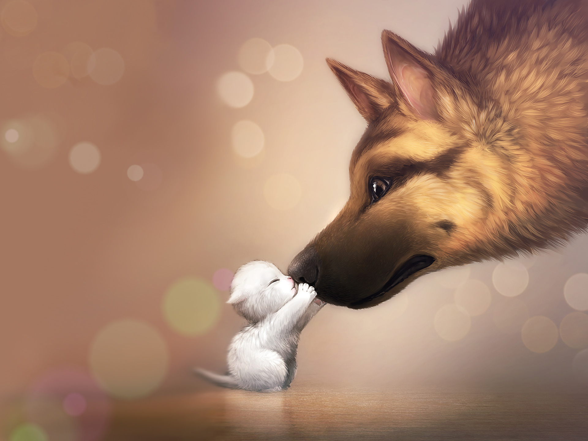 German Shepherd and Kitten Kissing HD Wallpaper