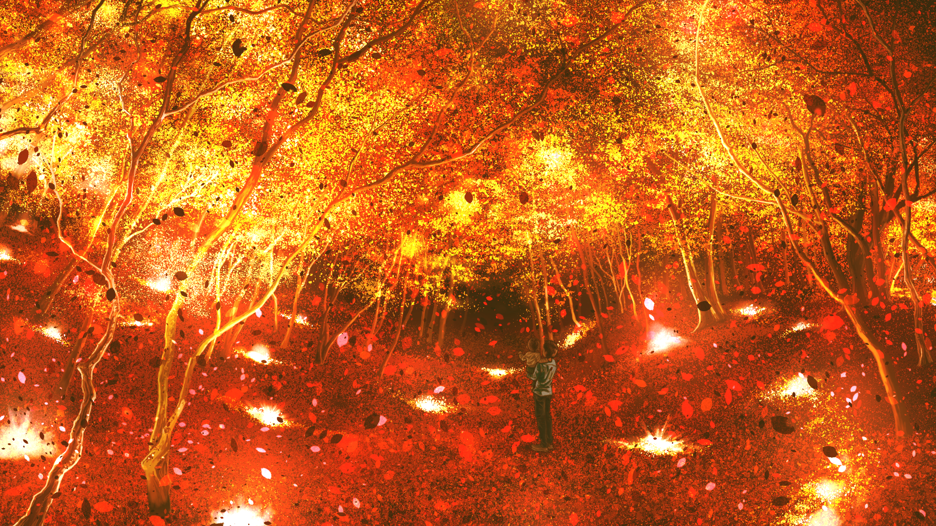 Person in a vibrant autumn forest HD Wallpaper
