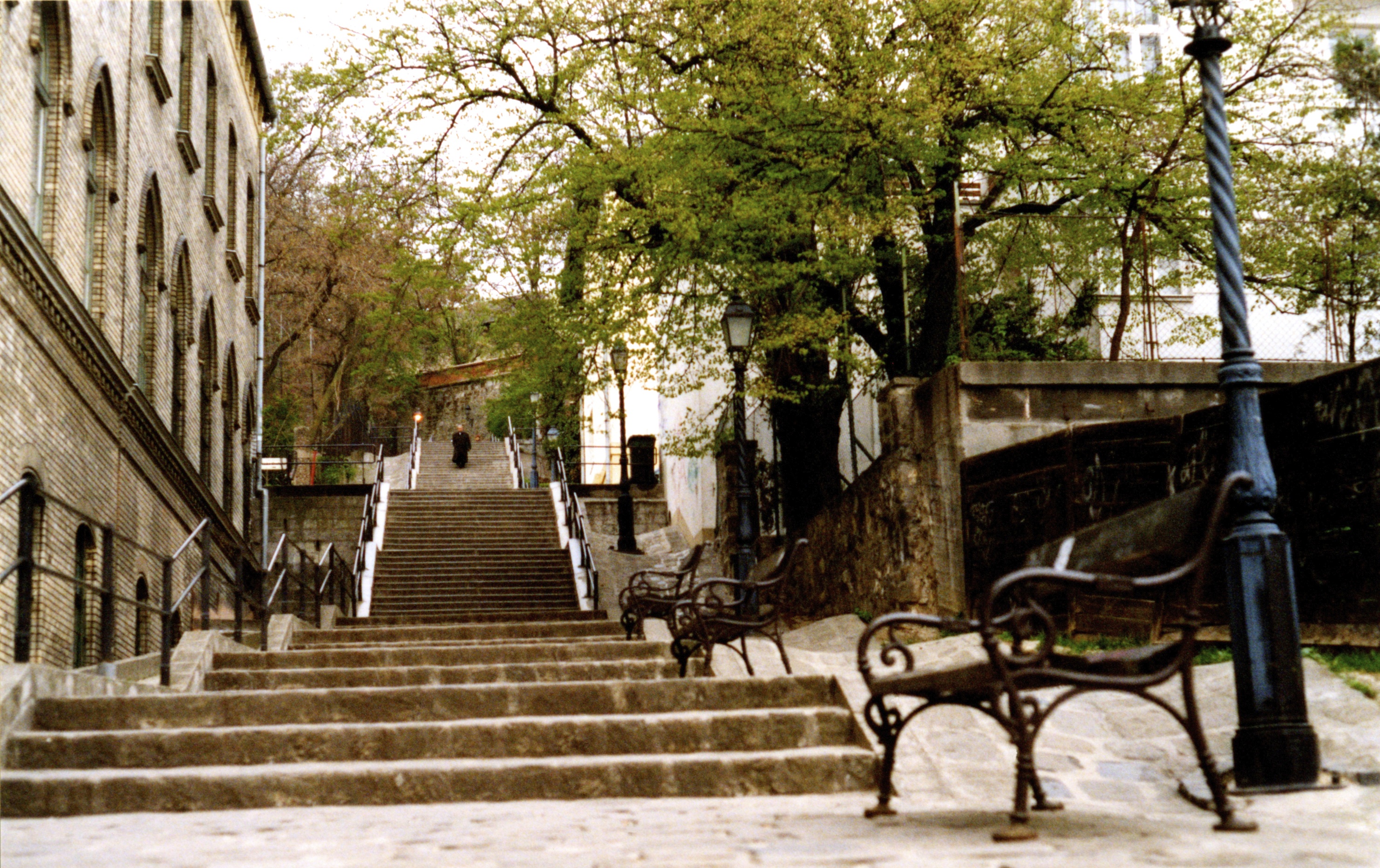 Stone staircase with benches and lampposts HD Wallpaper