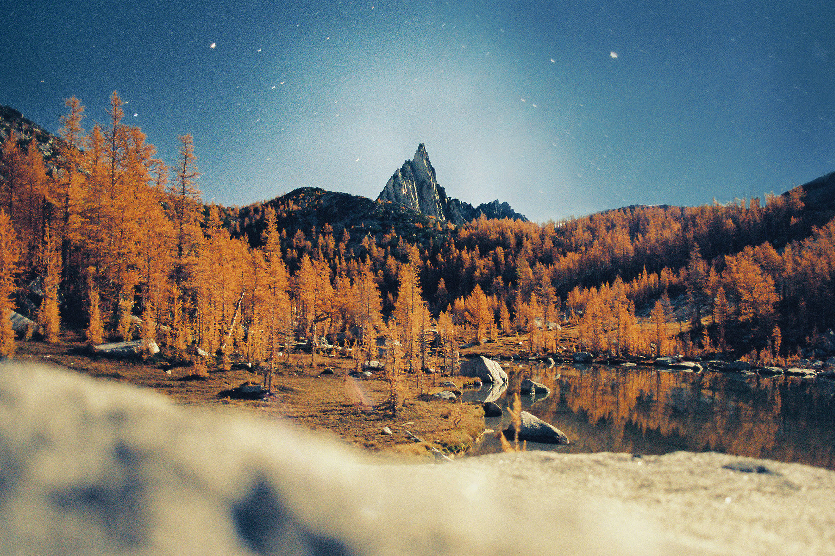 Autumn Larches Reflecting in a Mountain Lake Under a Starry Sky HD Wallpaper