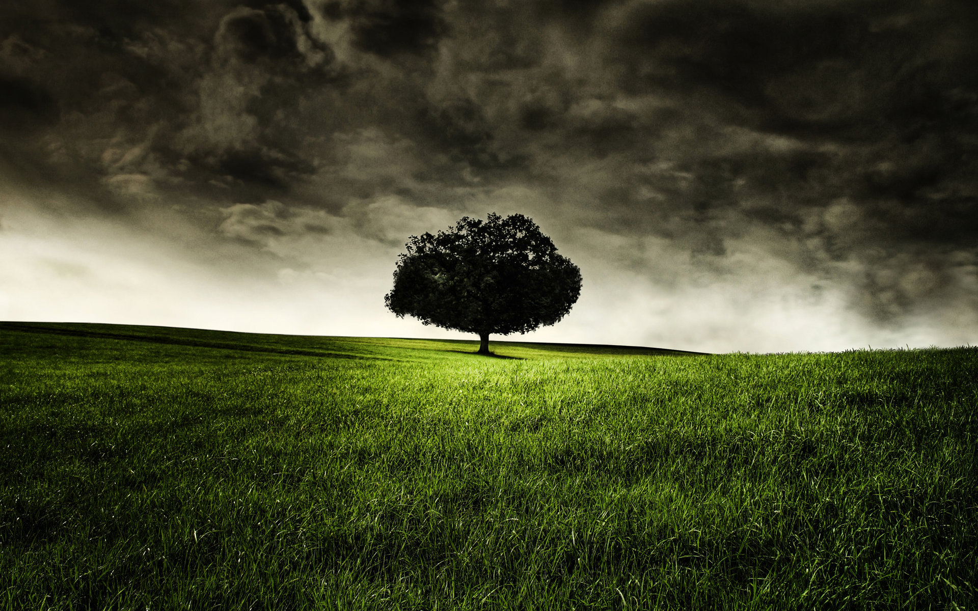 A lone tree on a grassy hill under a stormy sky HD Wallpaper