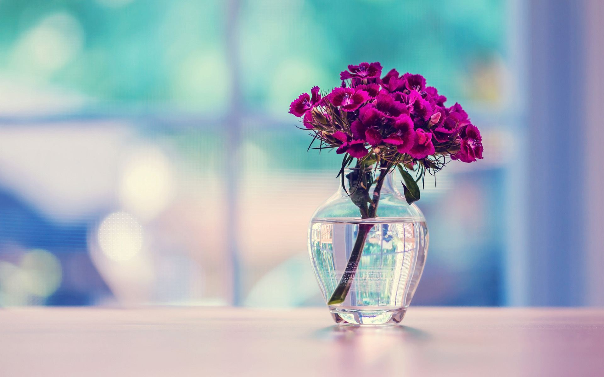 Purple flowers in a glass vase on a table HD Wallpaper