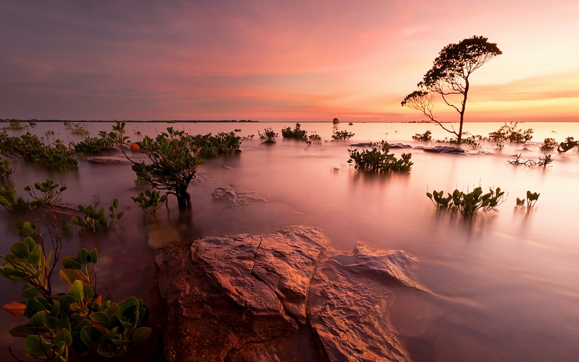 Sunset over a calm body of water with trees and rocks HD Wallpaper