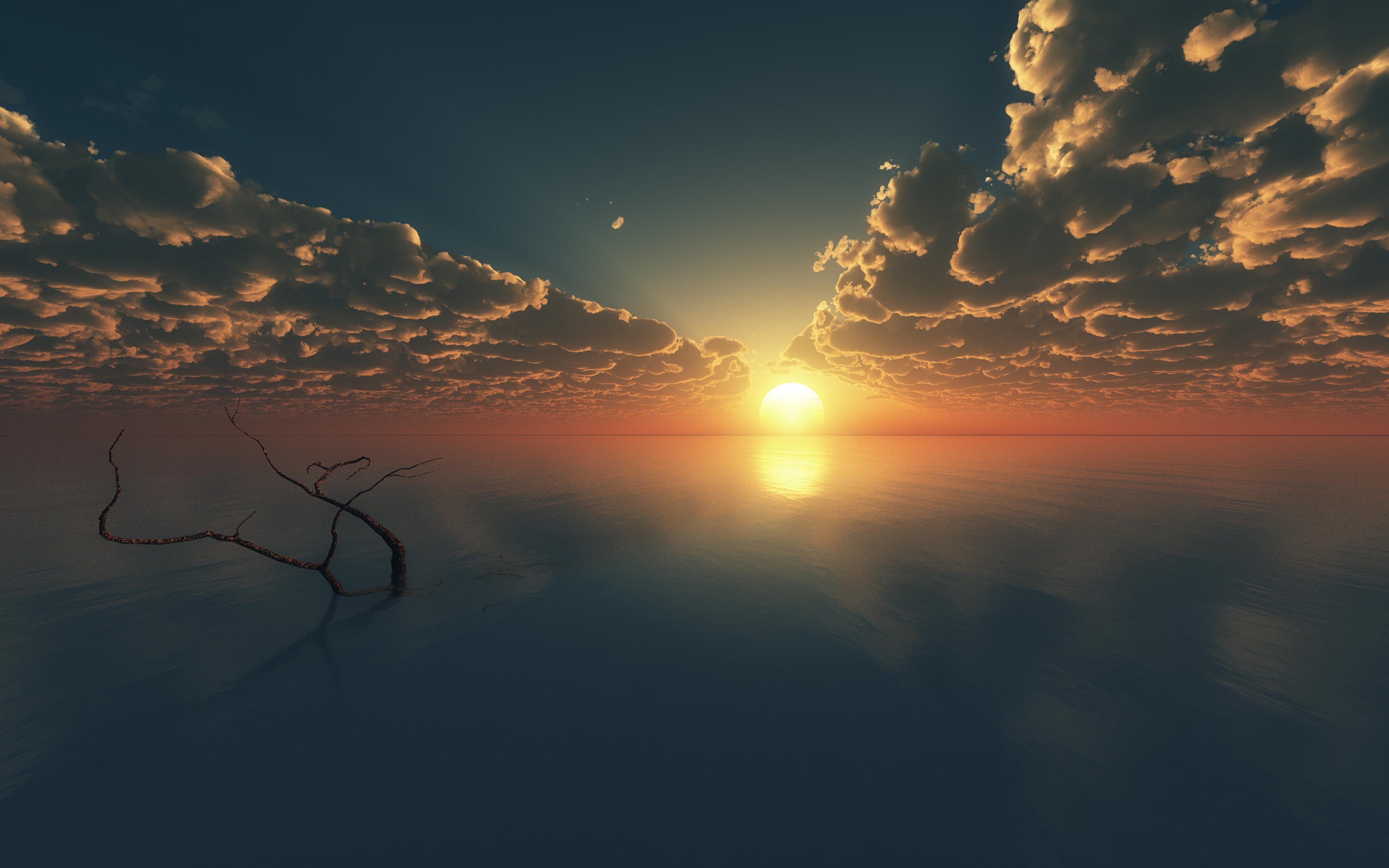 Sunset over the ocean with a dead tree HD Wallpaper