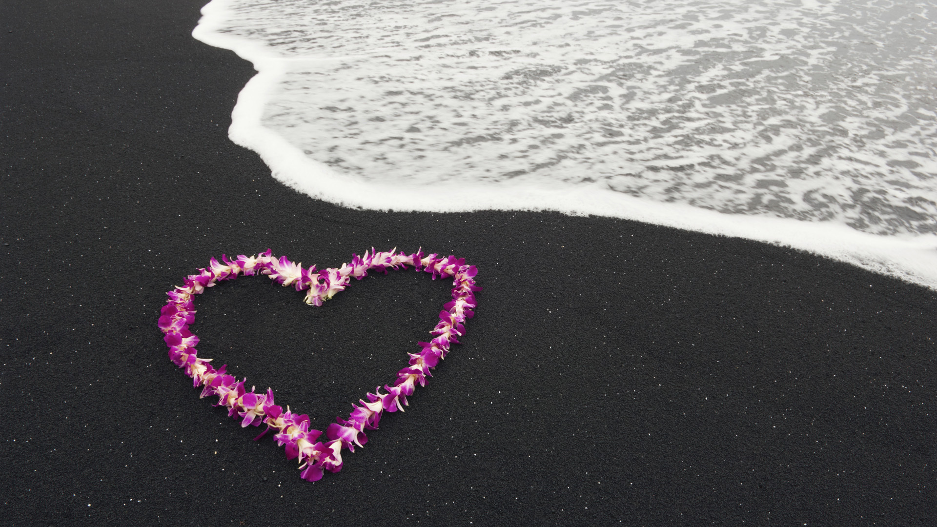 Heart made of flowers on black sand beach with ocean wave HD Wallpaper