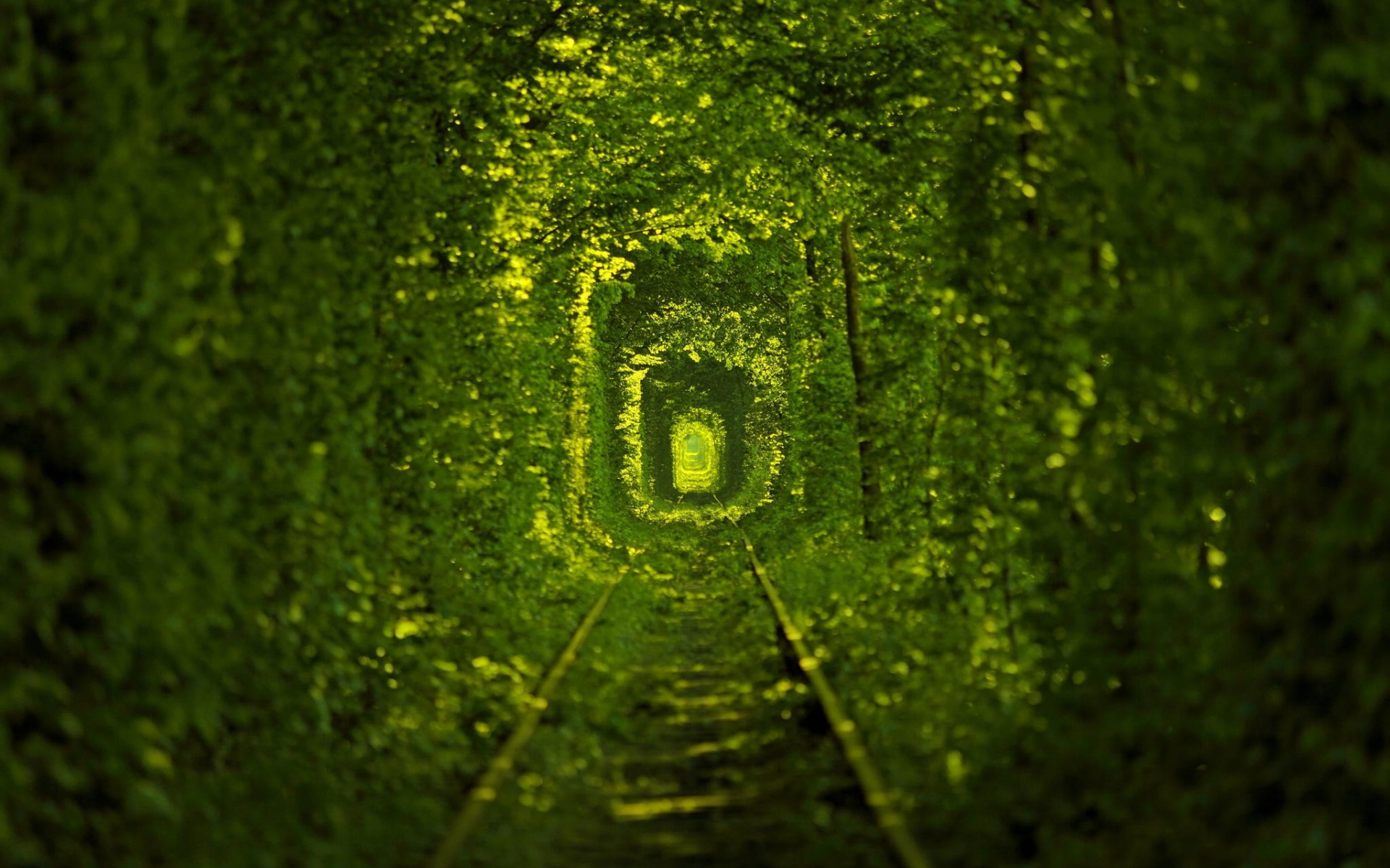 Tunnel of Love HD Wallpaper