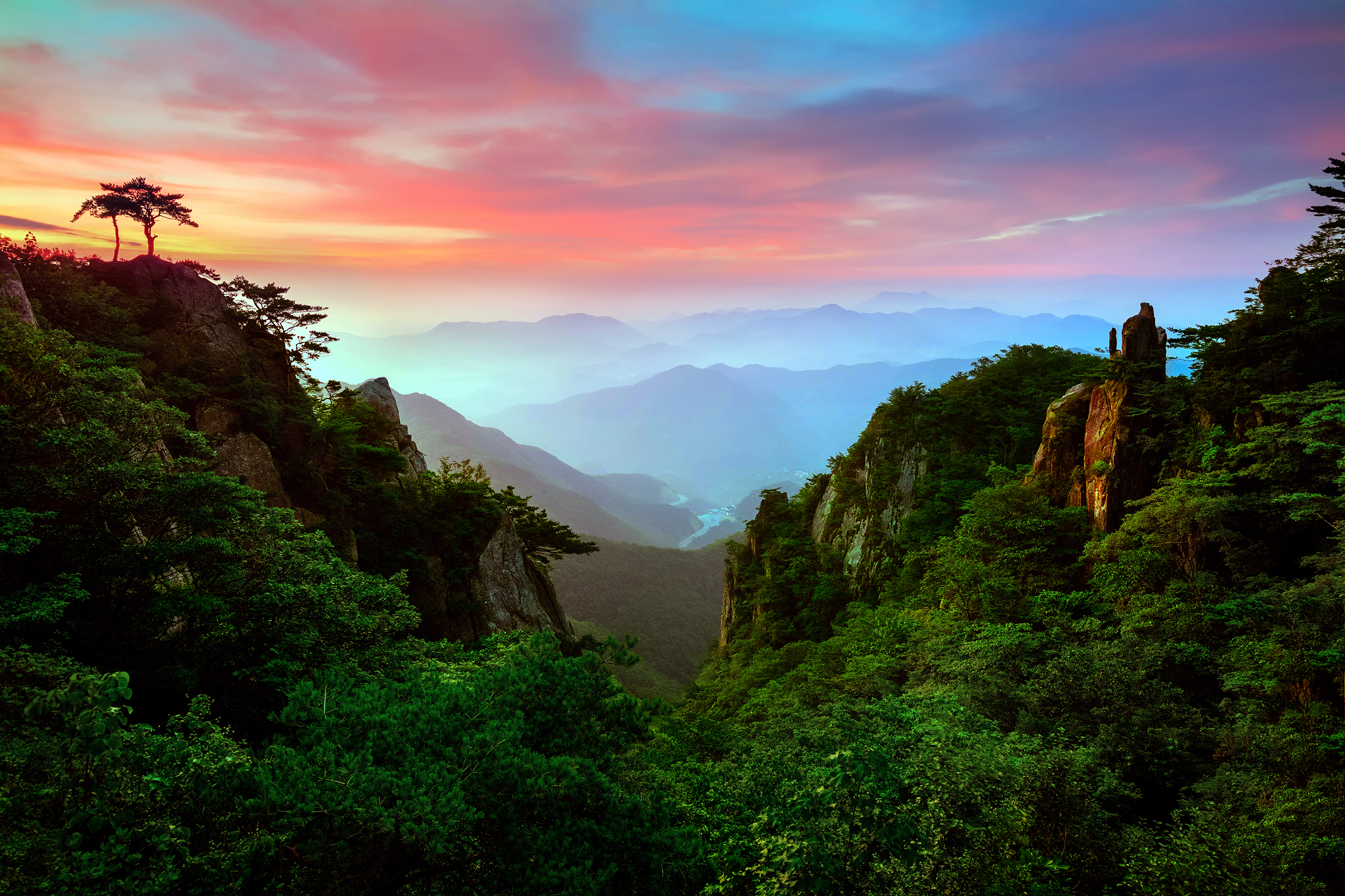 Mountain valley at sunset with pine trees HD Wallpaper
