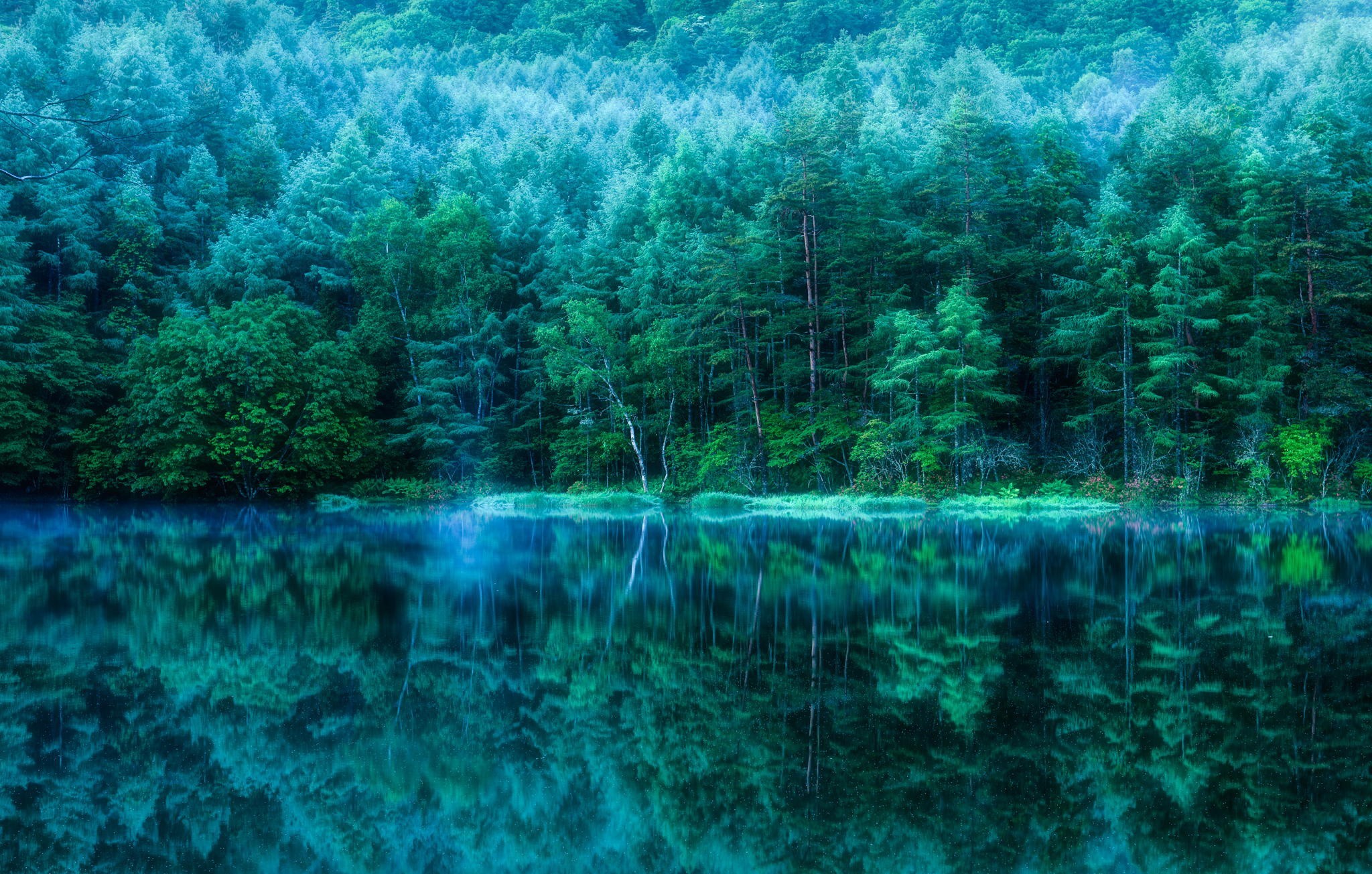 Forest and pond reflection in Japan HD Wallpaper