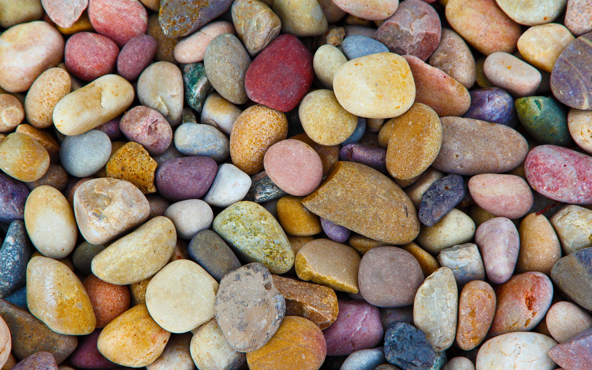 A close-up view of colorful, smooth pebbles. HD Wallpaper