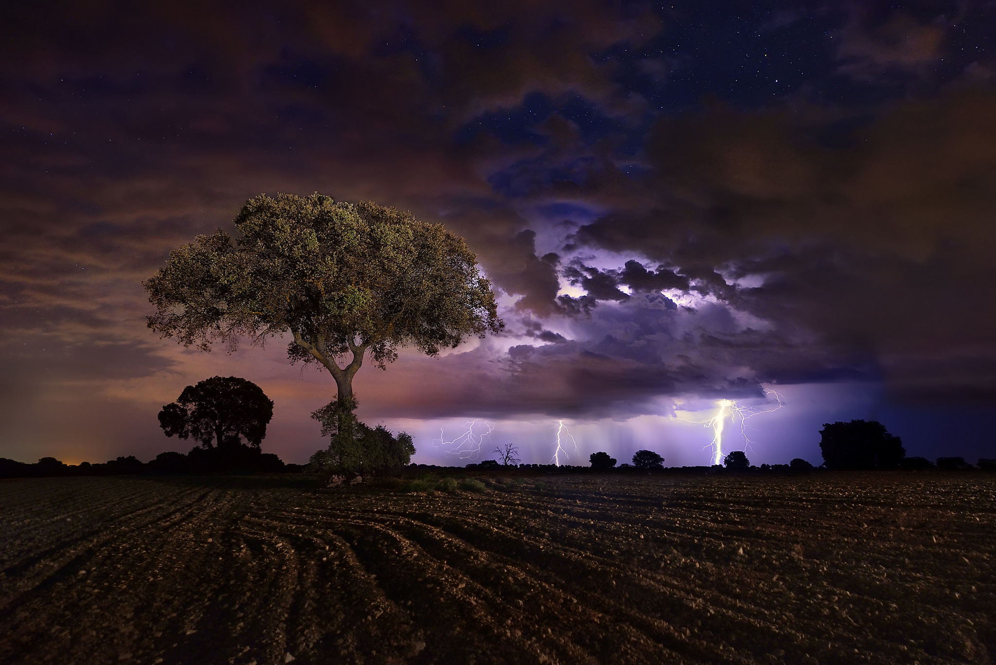 Lightning storm over a field with trees at night HD Wallpaper