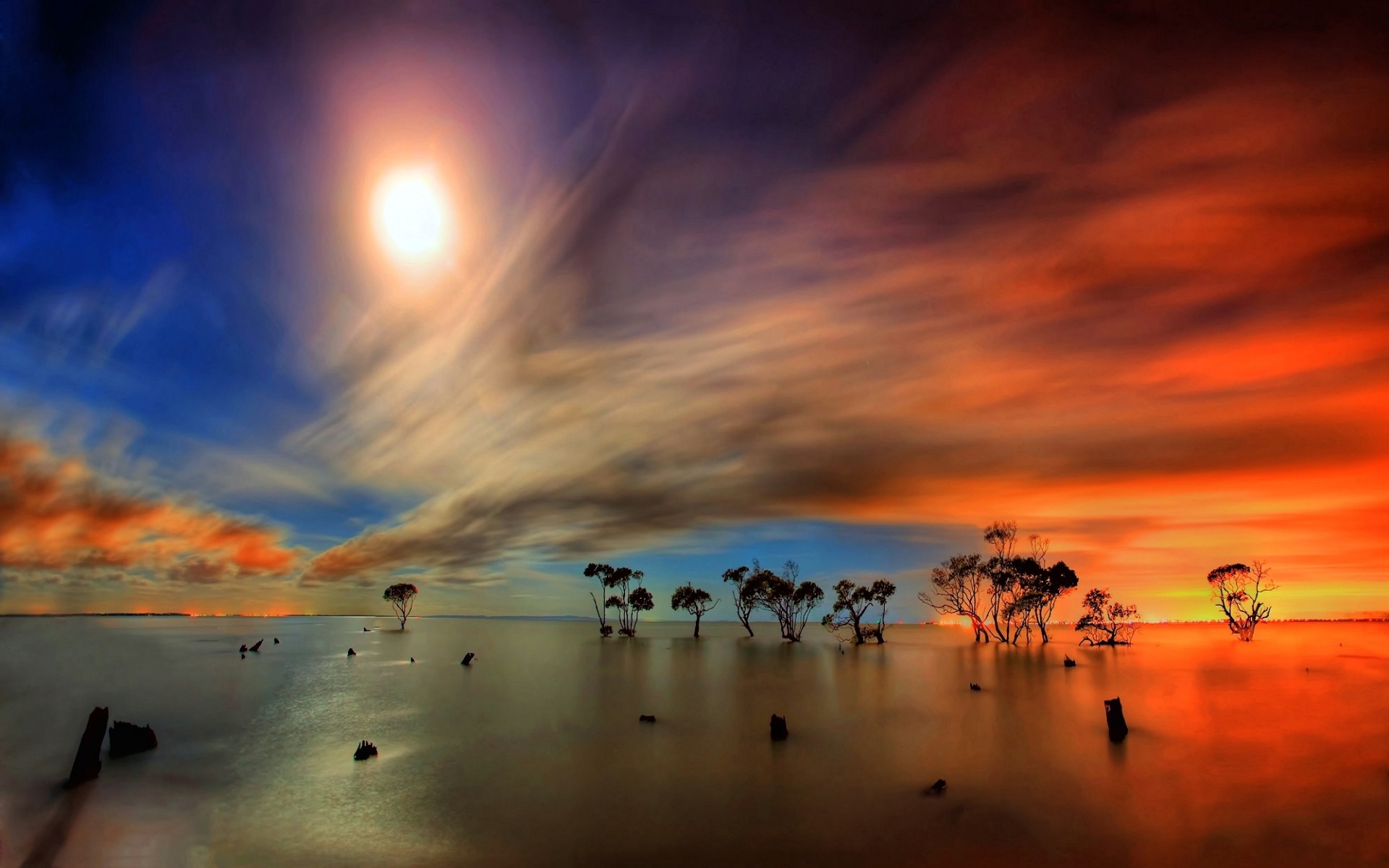 Sunset over a flooded landscape with trees HD Wallpaper