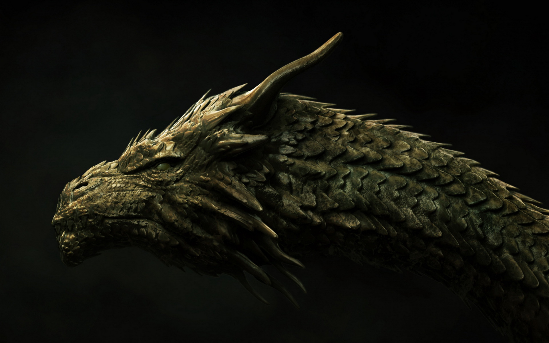 Dragon head from fantasy HD Wallpaper