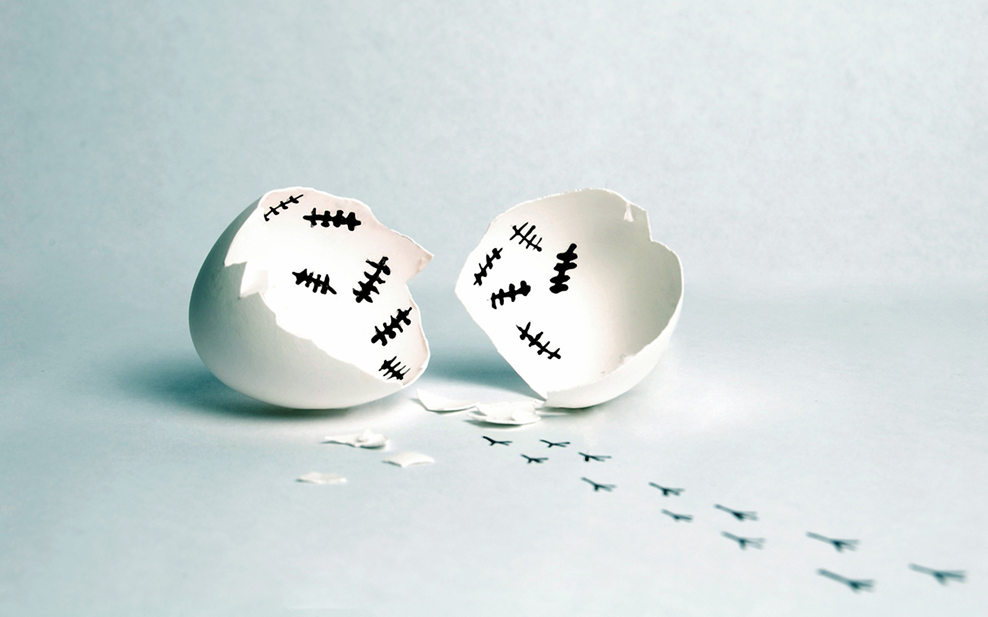 Broken Egg with Hatchlings HD Wallpaper