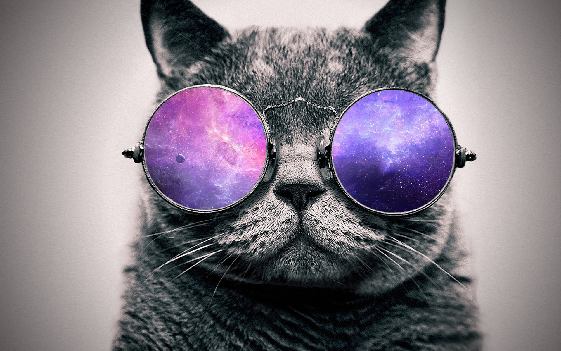 Cat wearing galaxy-themed sunglasses HD Wallpaper