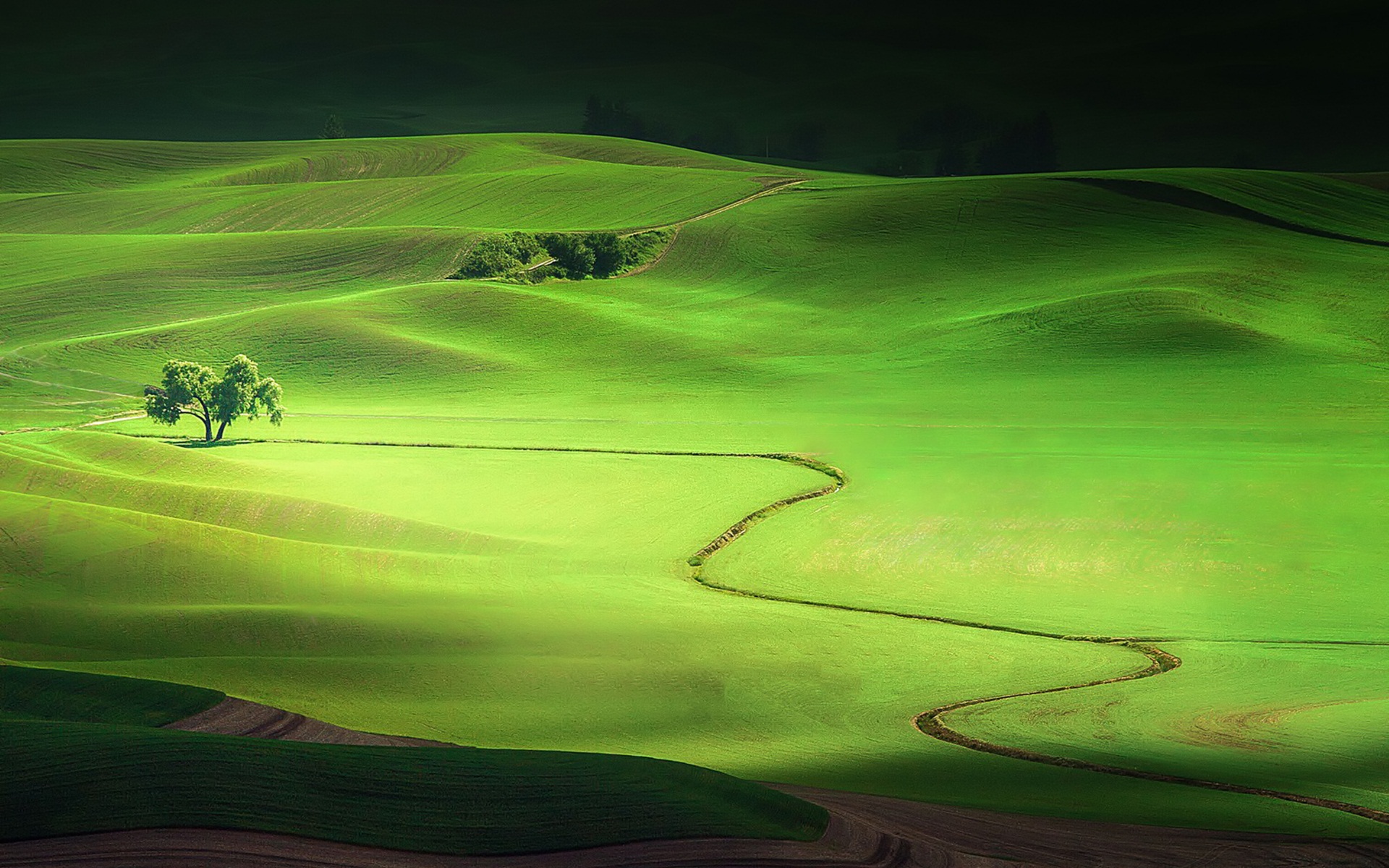Rolling green hills with a single tree and winding path HD Wallpaper