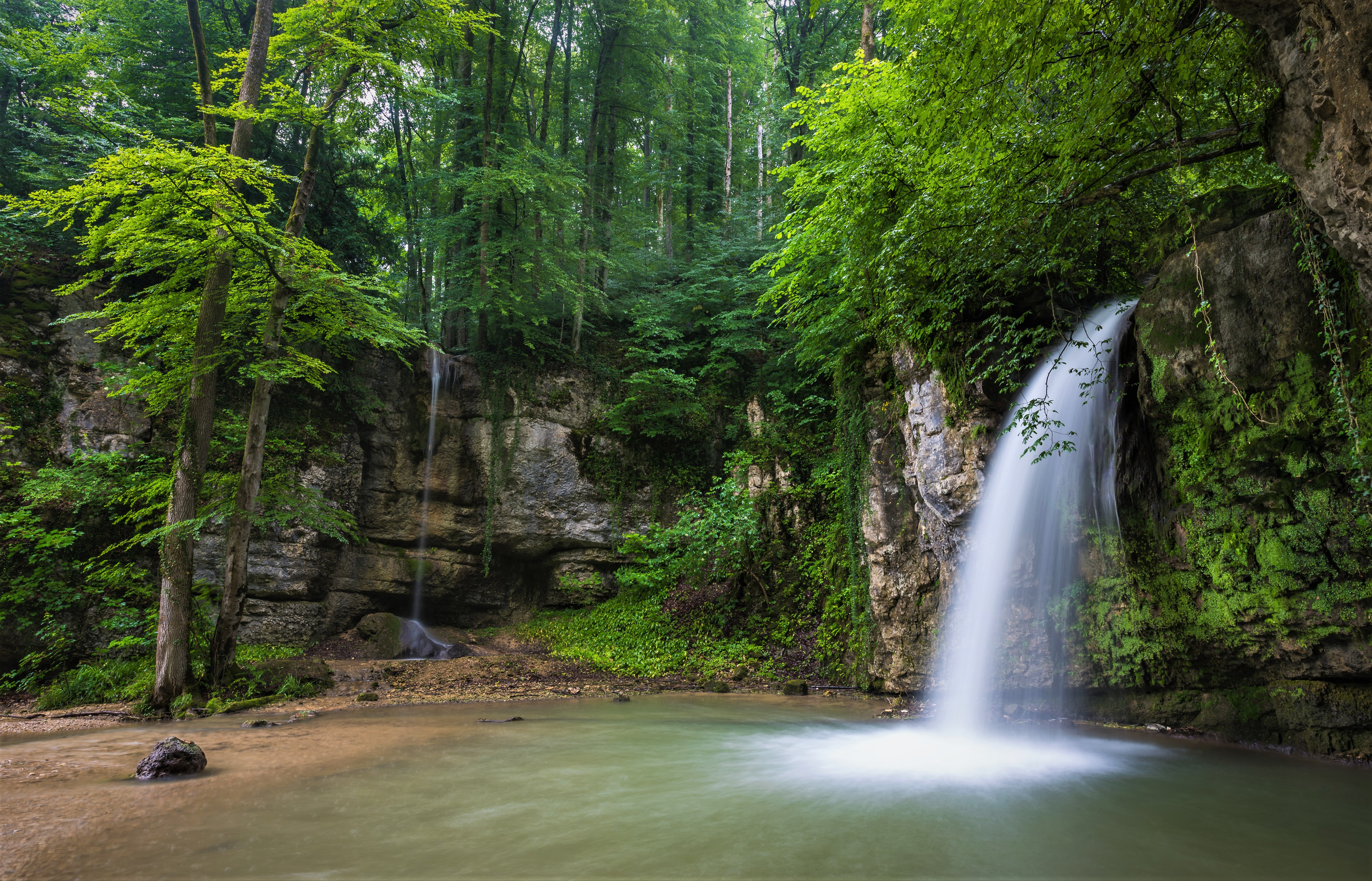 Forest waterfall with green trees and rocks HD Wallpaper