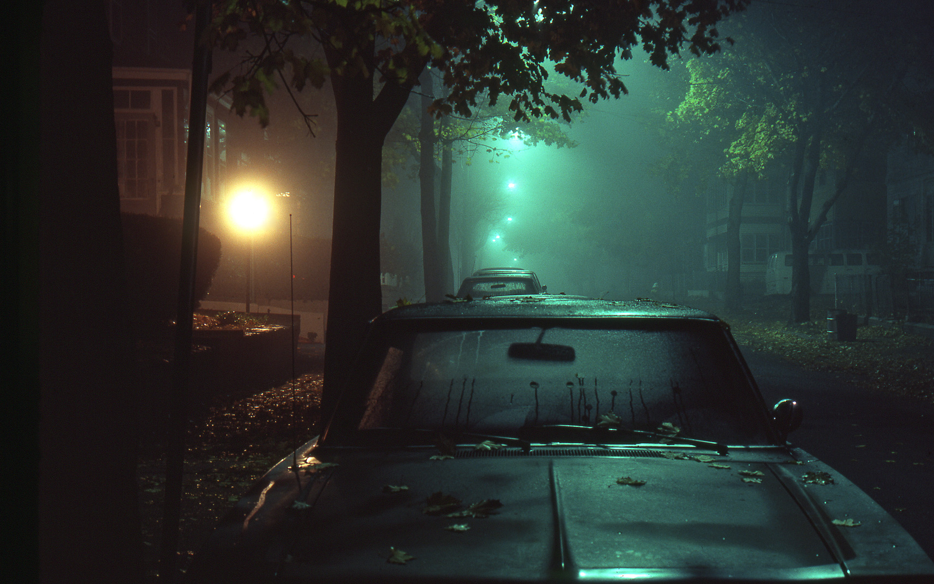 Cars parked on a foggy street at night HD Wallpaper