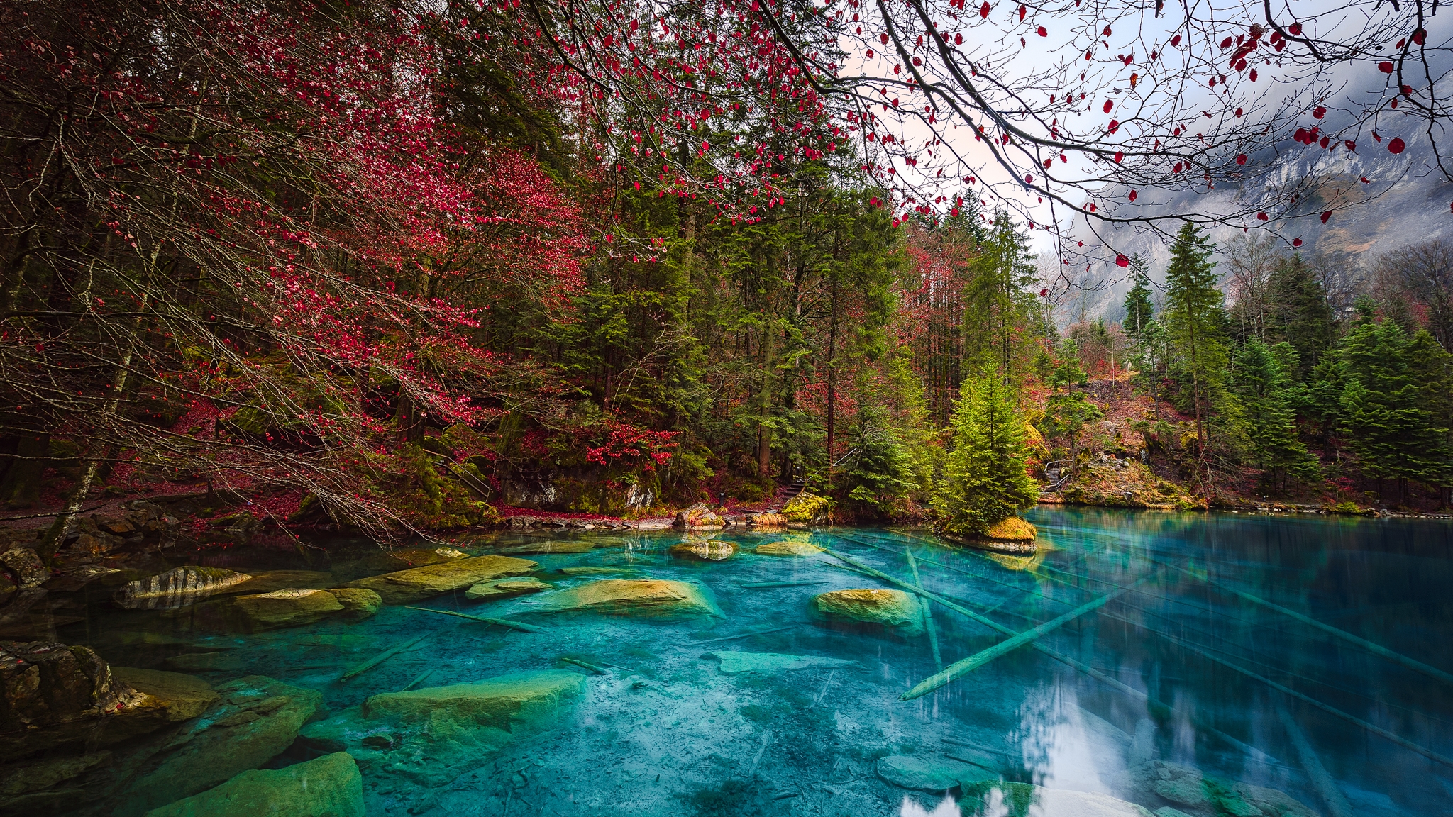 Clear blue lake with rocks and trees in fall HD Wallpaper