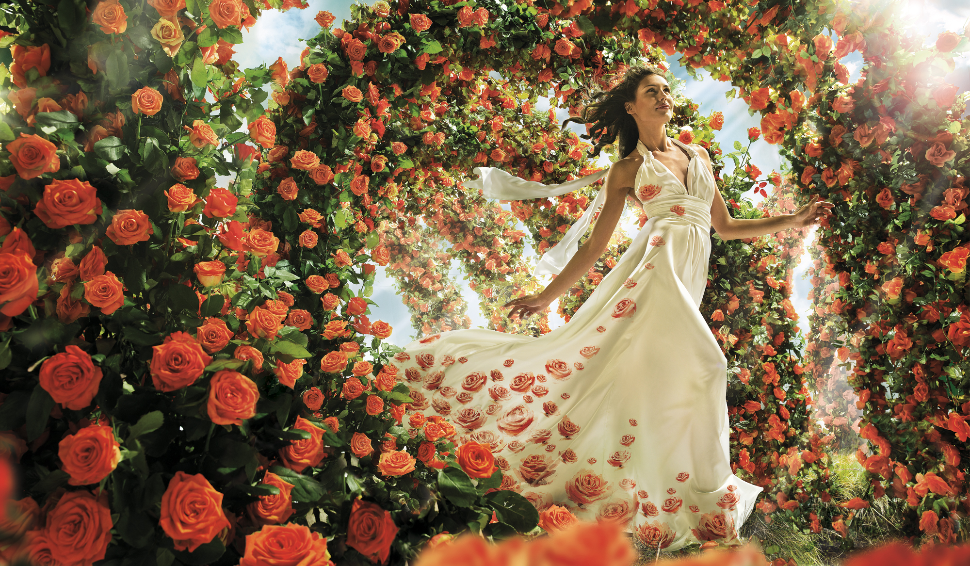 Woman in a rose-patterned dress in a rose garden HD Wallpaper