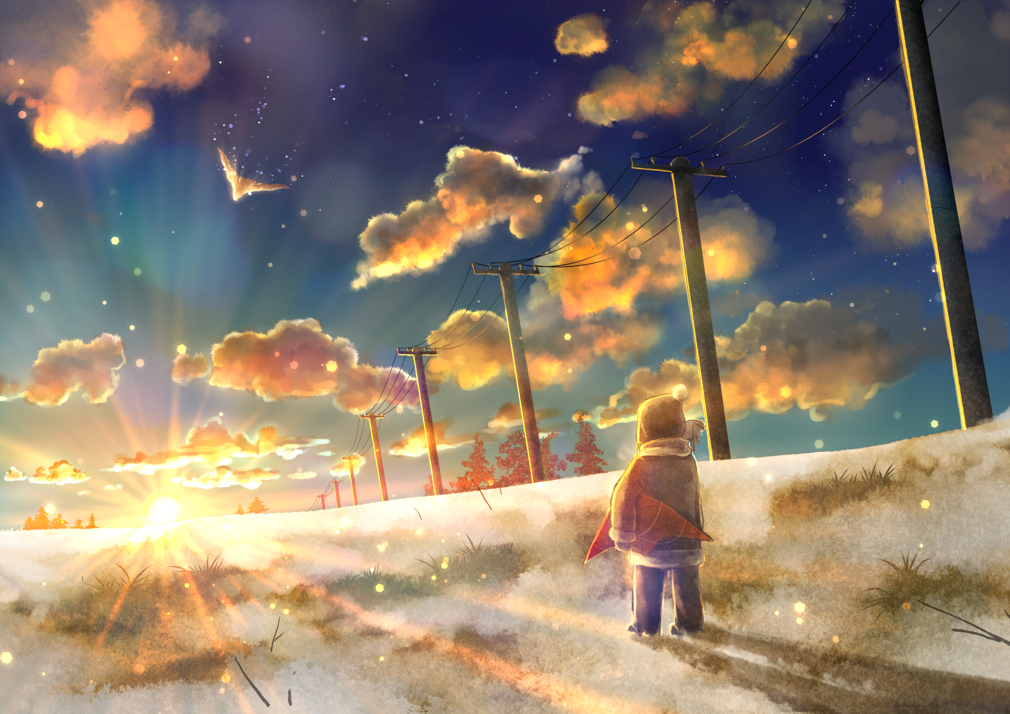 Child with bird watching sunset over snowy landscape with power lines HD Wallpaper
