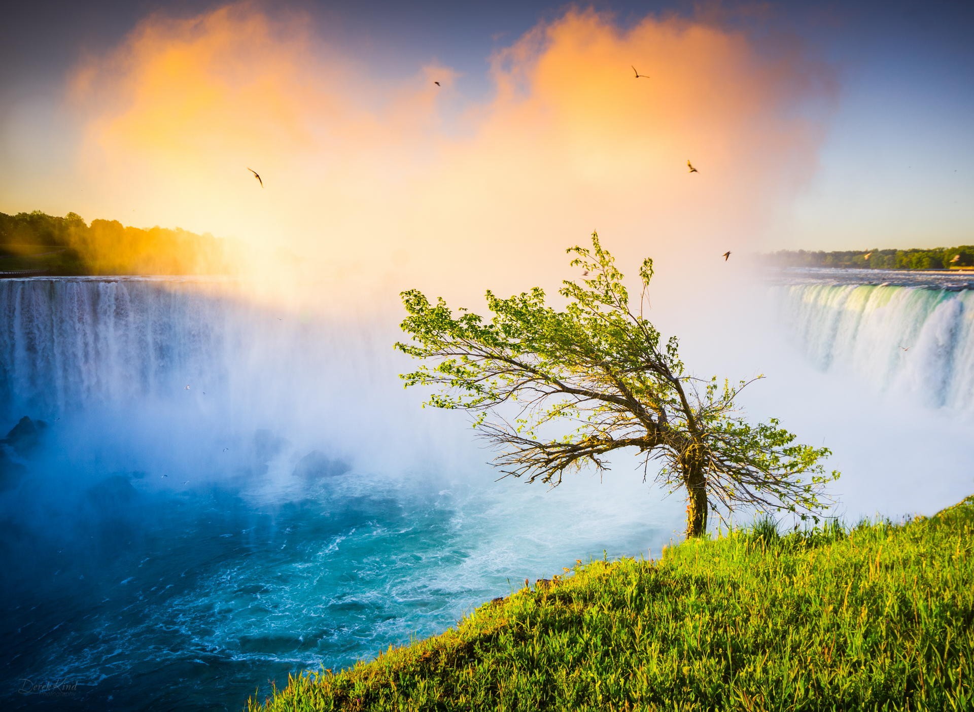 Niagara Falls at Sunset with Lone Tree and Birds HD Wallpaper