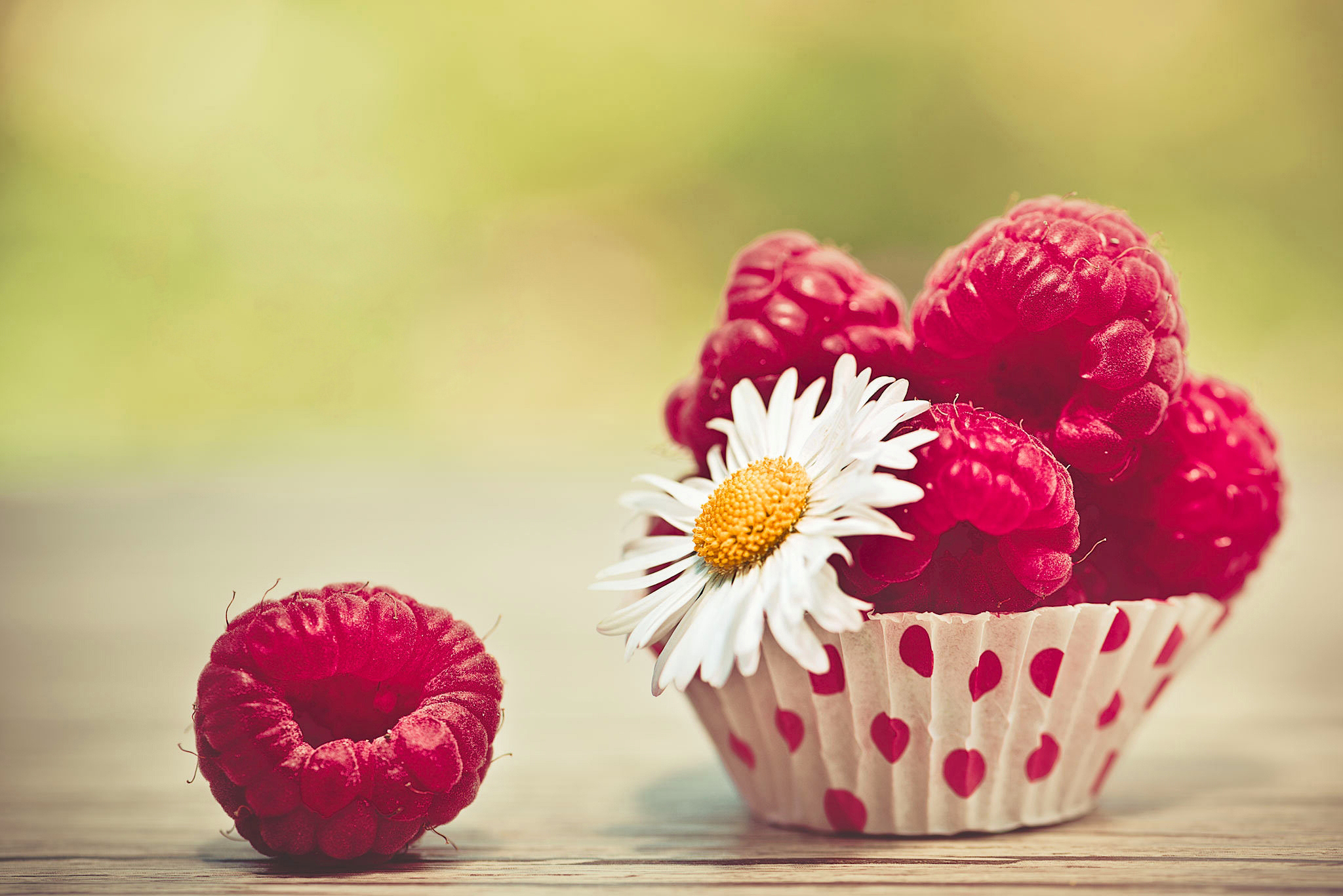 Raspberries in a cupcake liner with a daisy HD Wallpaper