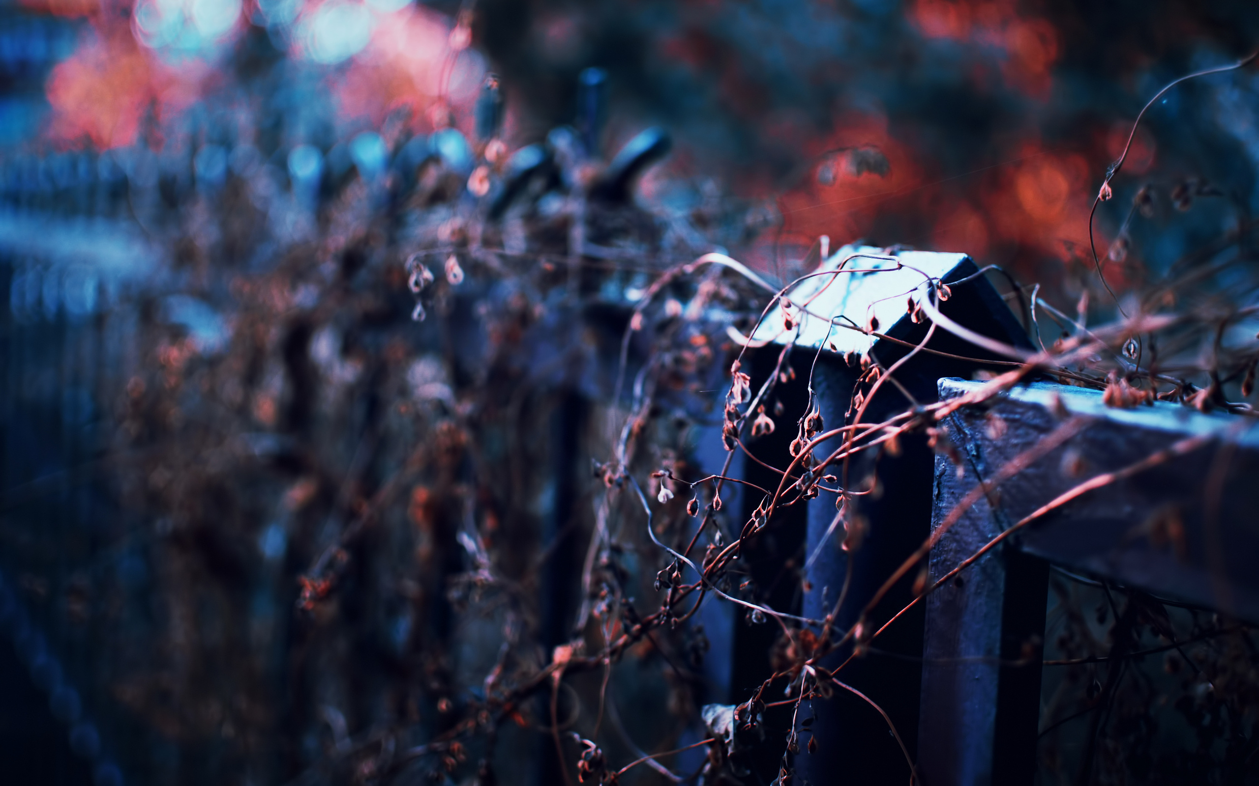 Dry vines on a fence post HD Wallpaper
