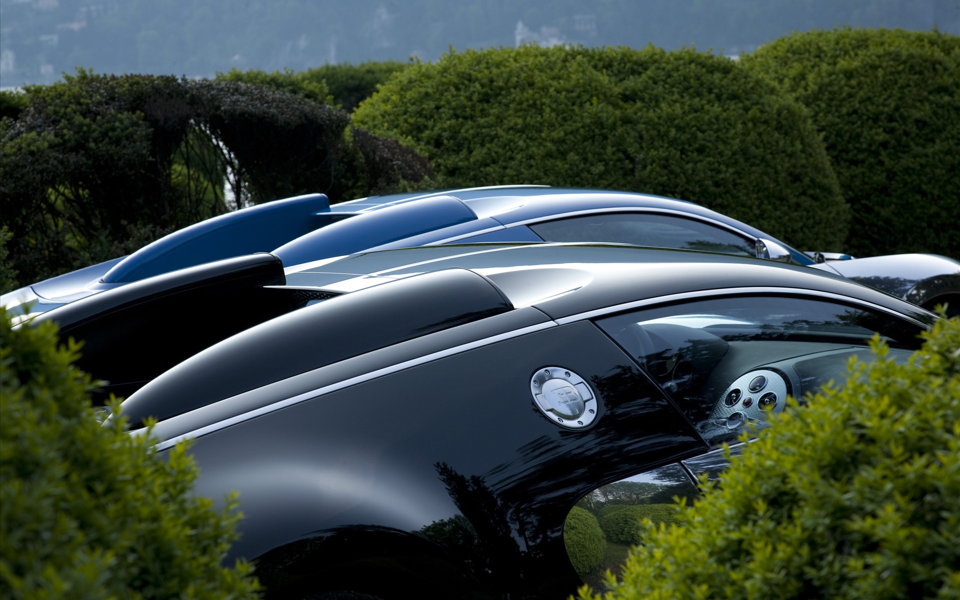 Bugatti Veyron cars parked behind bushes HD Wallpaper