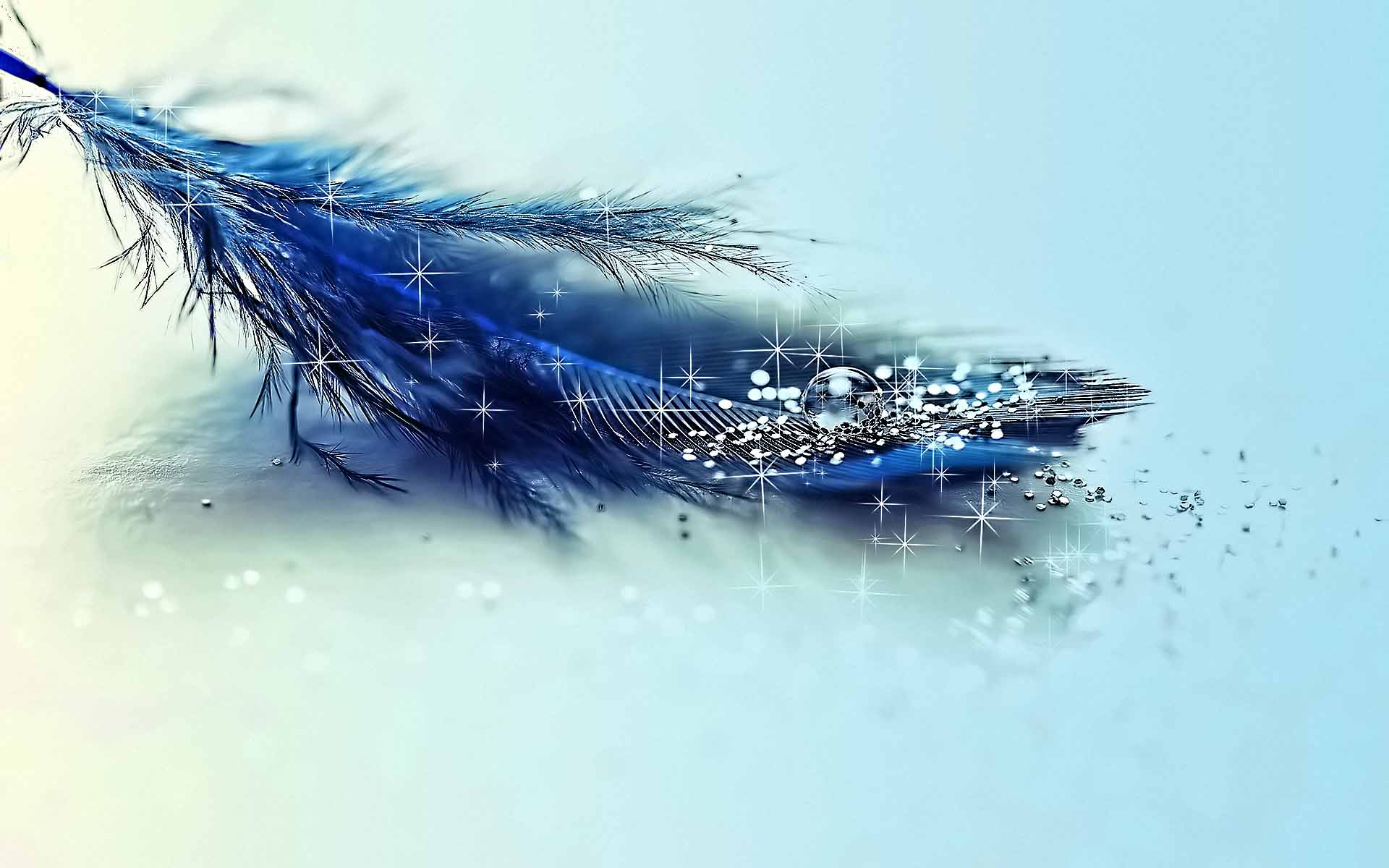 Blue feather with glitter and water droplets HD Wallpaper