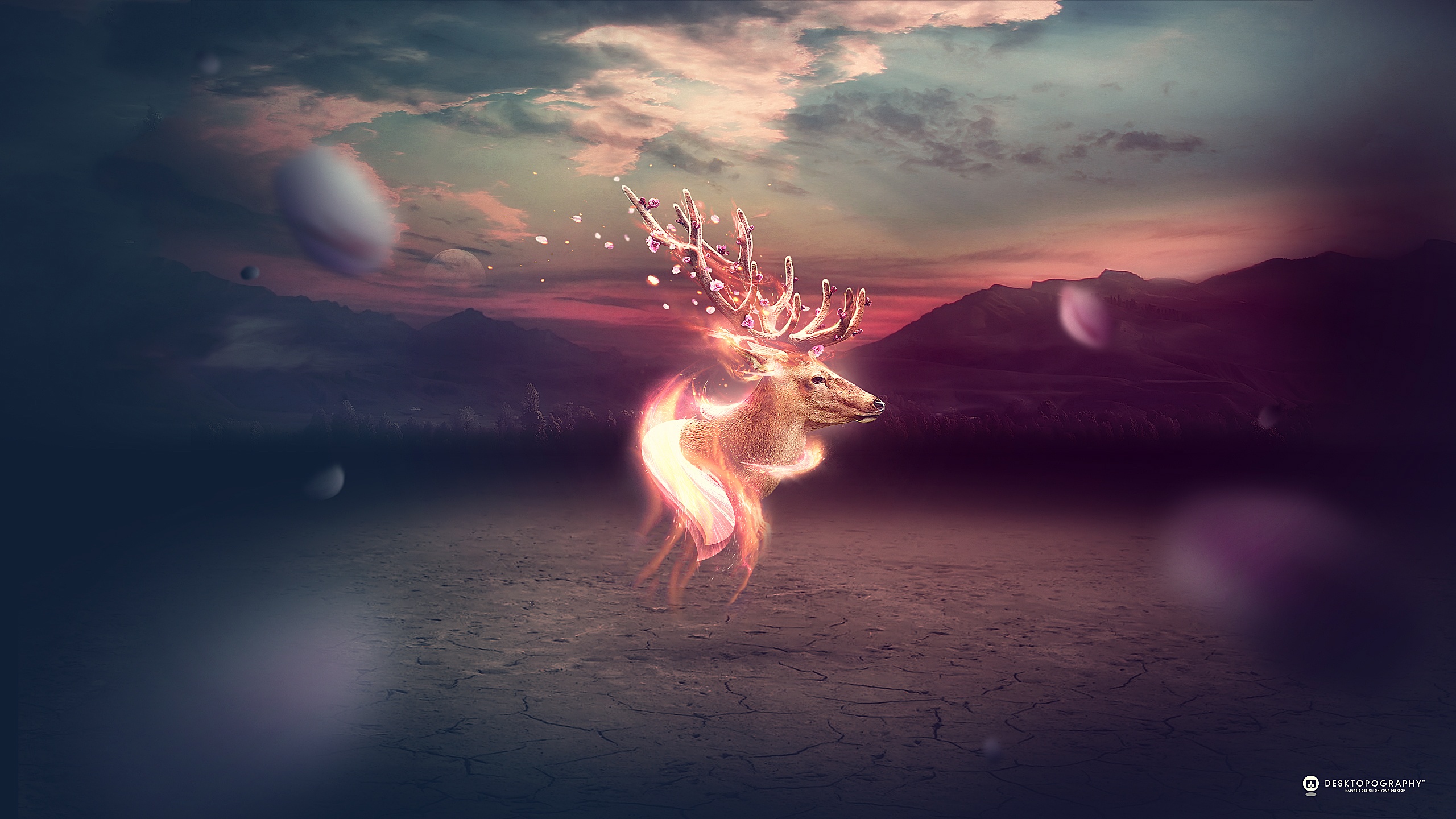 Fantasy Deer with Glowing Antlers and Body HD Wallpaper