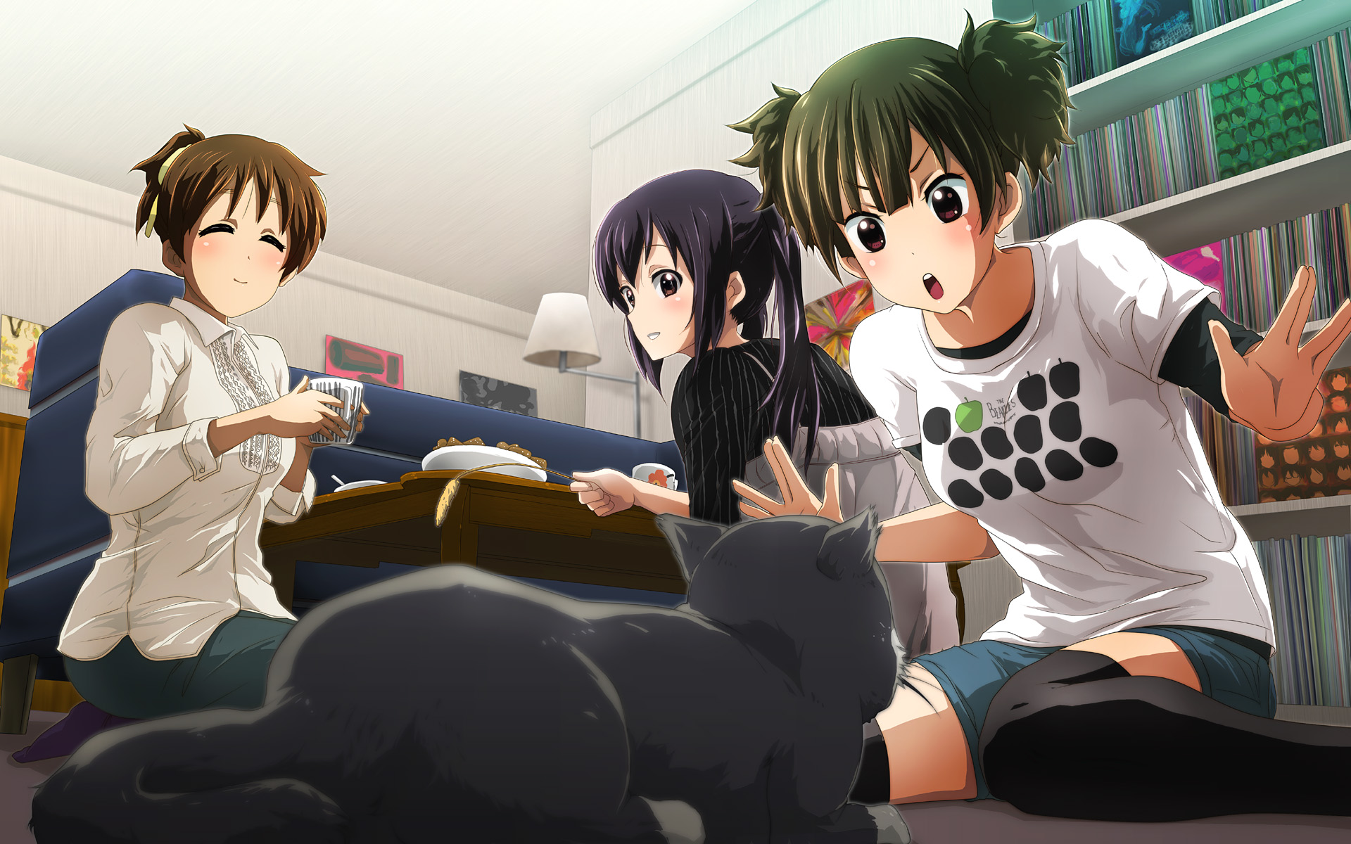 Ui Hirasawa, Azusa Nakano, and Jun Suzuki from K-ON! with a cat HD Wallpaper