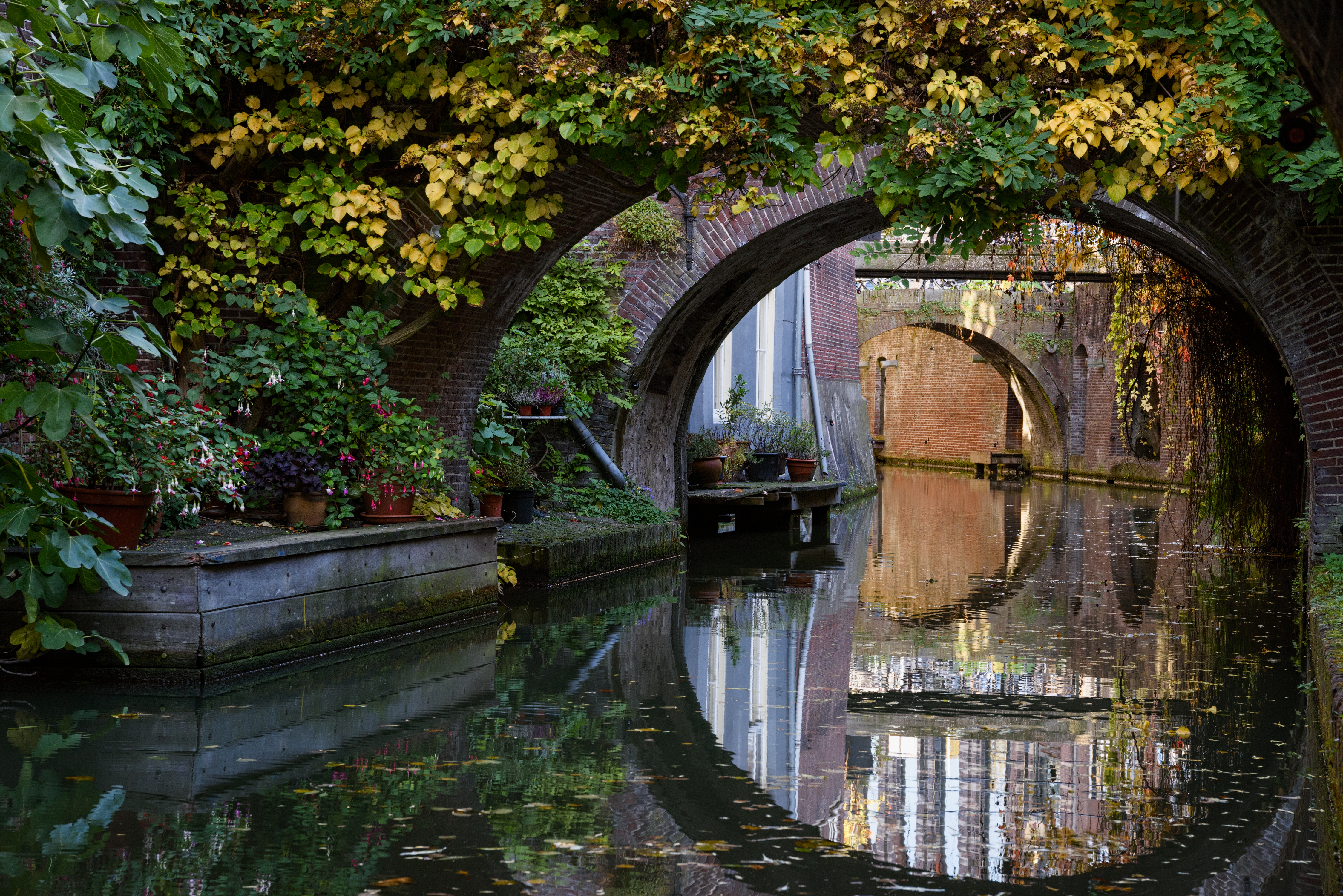Canal with arches and plants HD Wallpaper