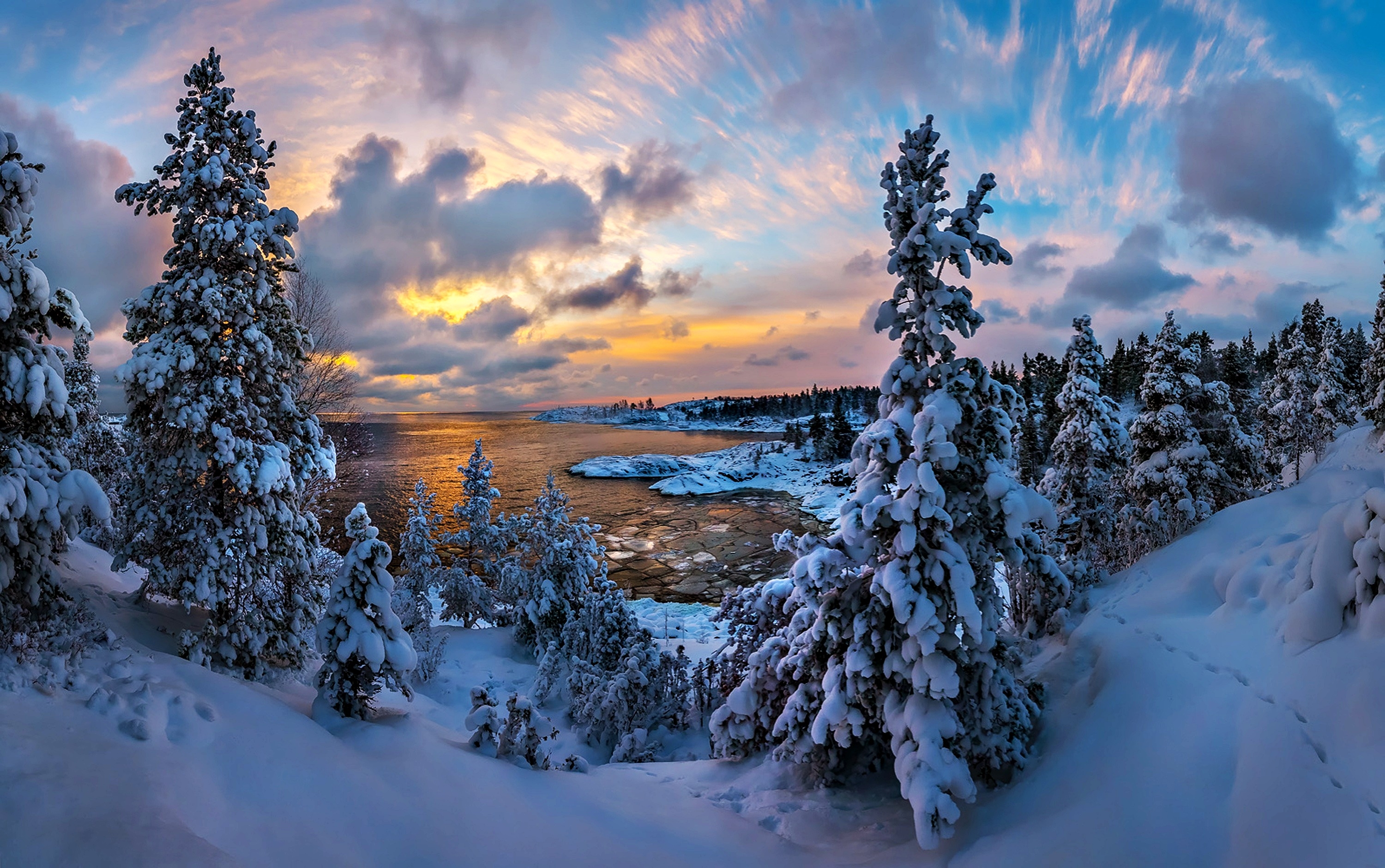 Snow-covered trees by a frozen lake at sunset HD Wallpaper