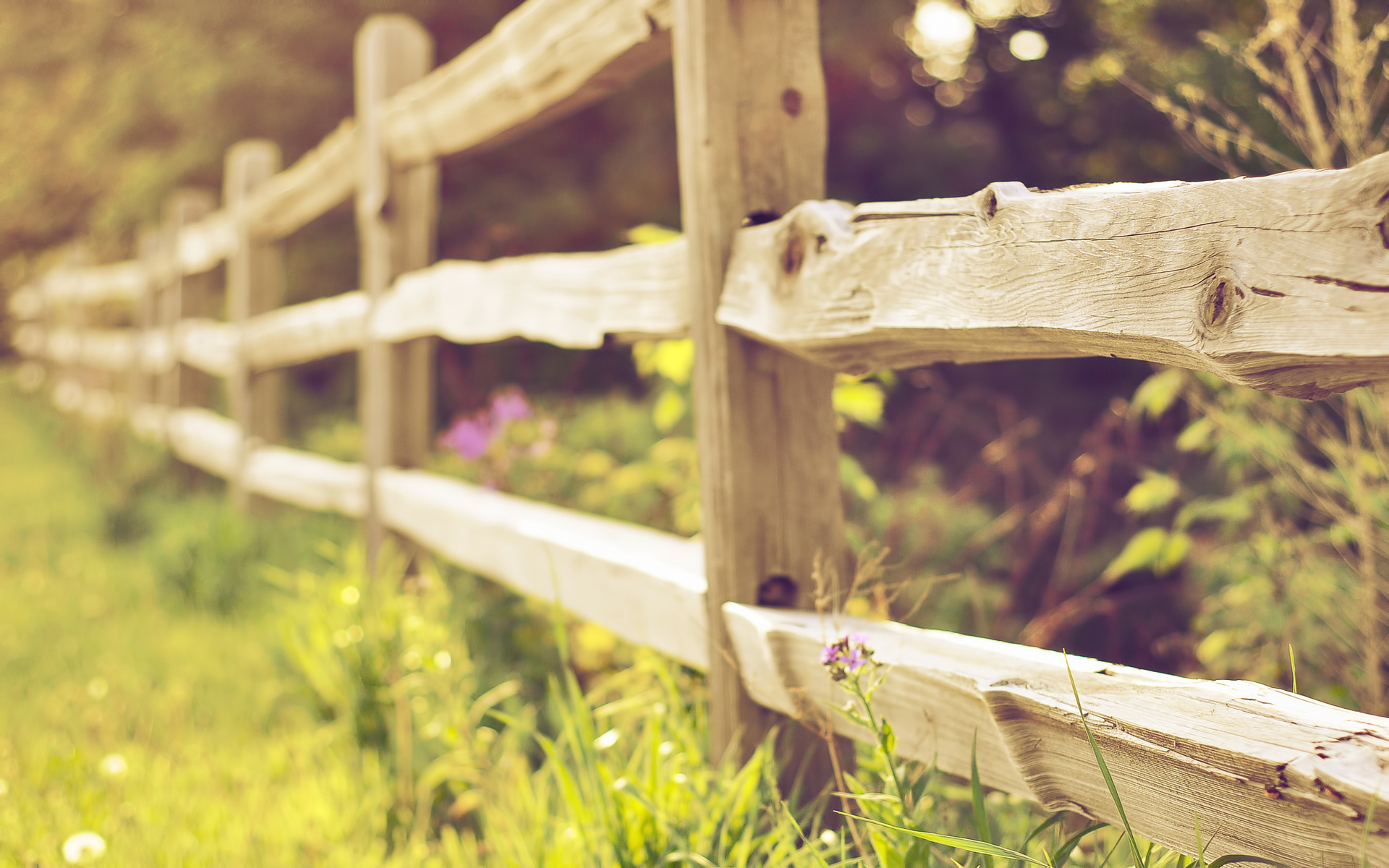 Wooden fence in a grassy field HD Wallpaper