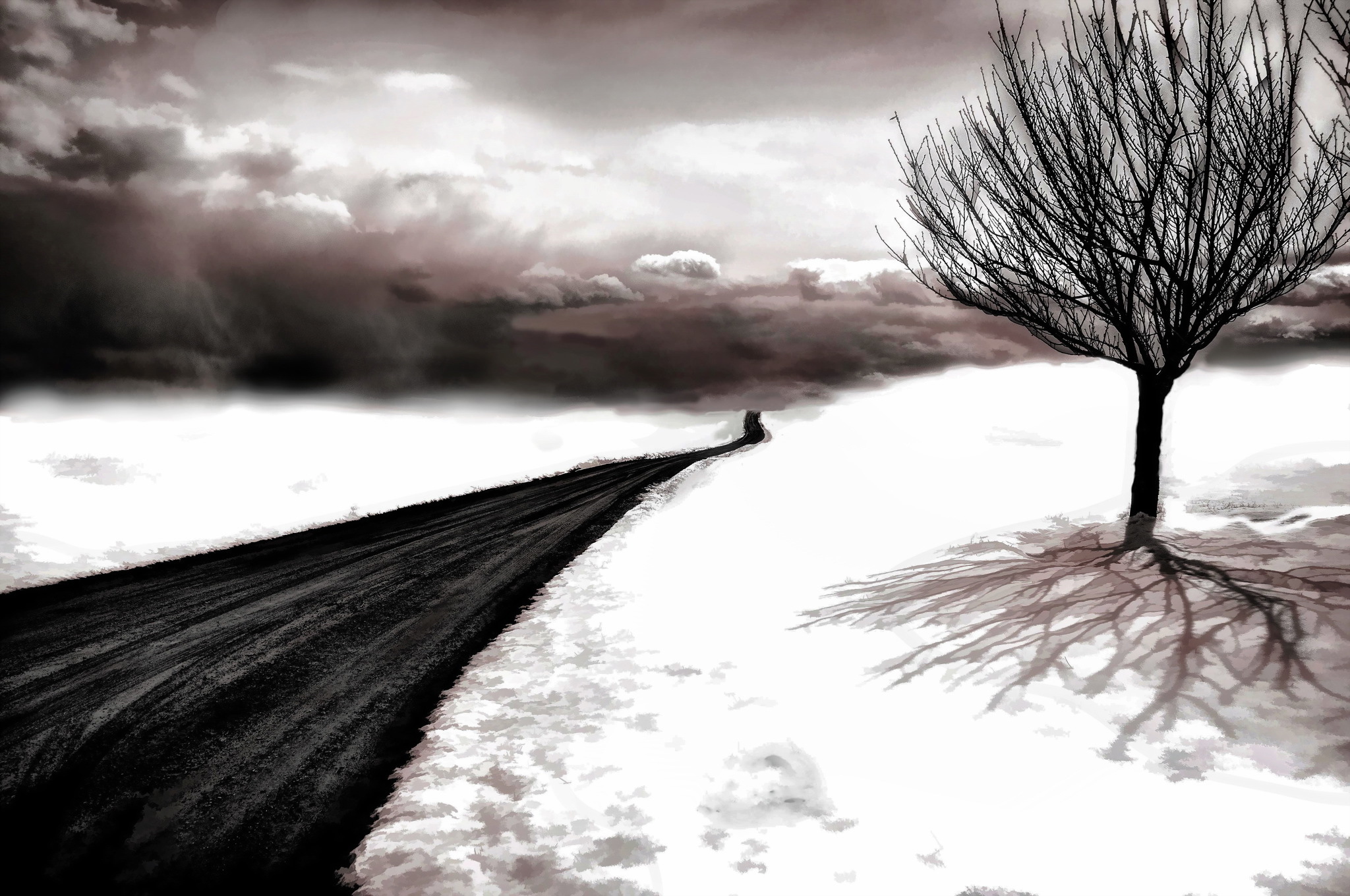 Road through snowy landscape with bare tree and stormy sky HD Wallpaper