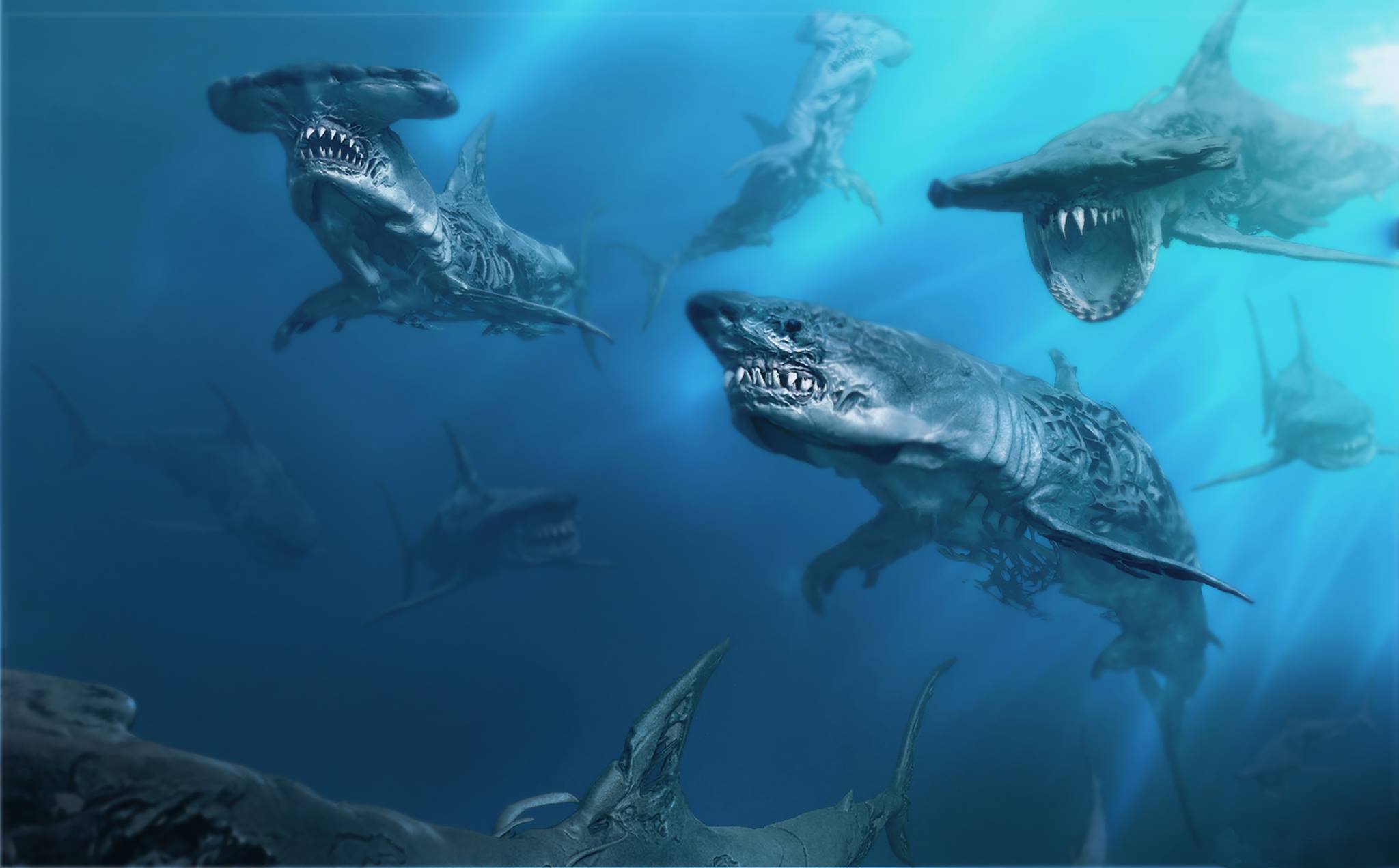 Multiple sharks swimming in blue ocean water HD Wallpaper